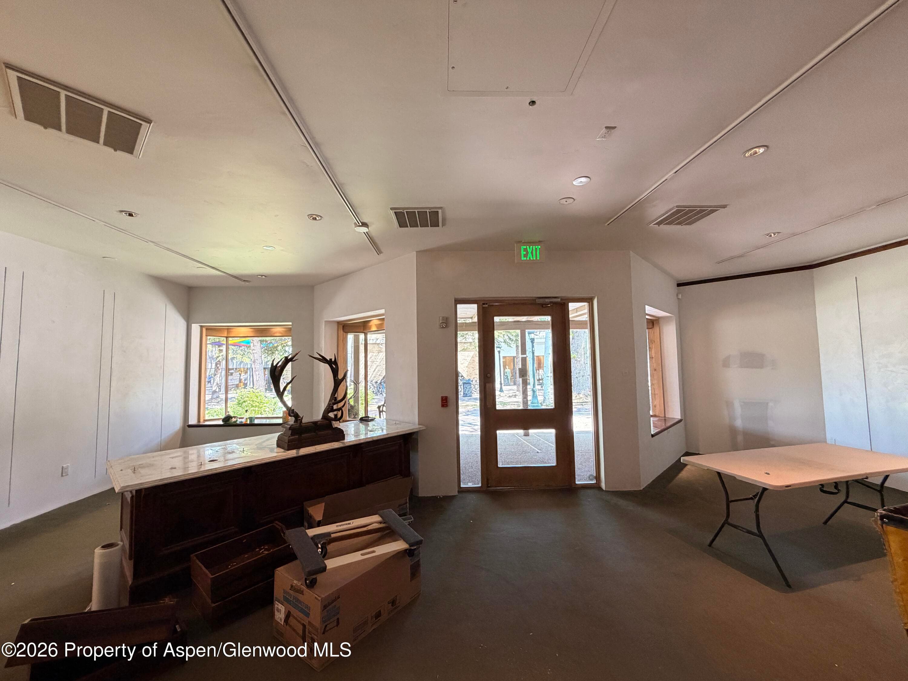 419 E Cooper Avenue, Aspen, CO 81611 - Photo 12
