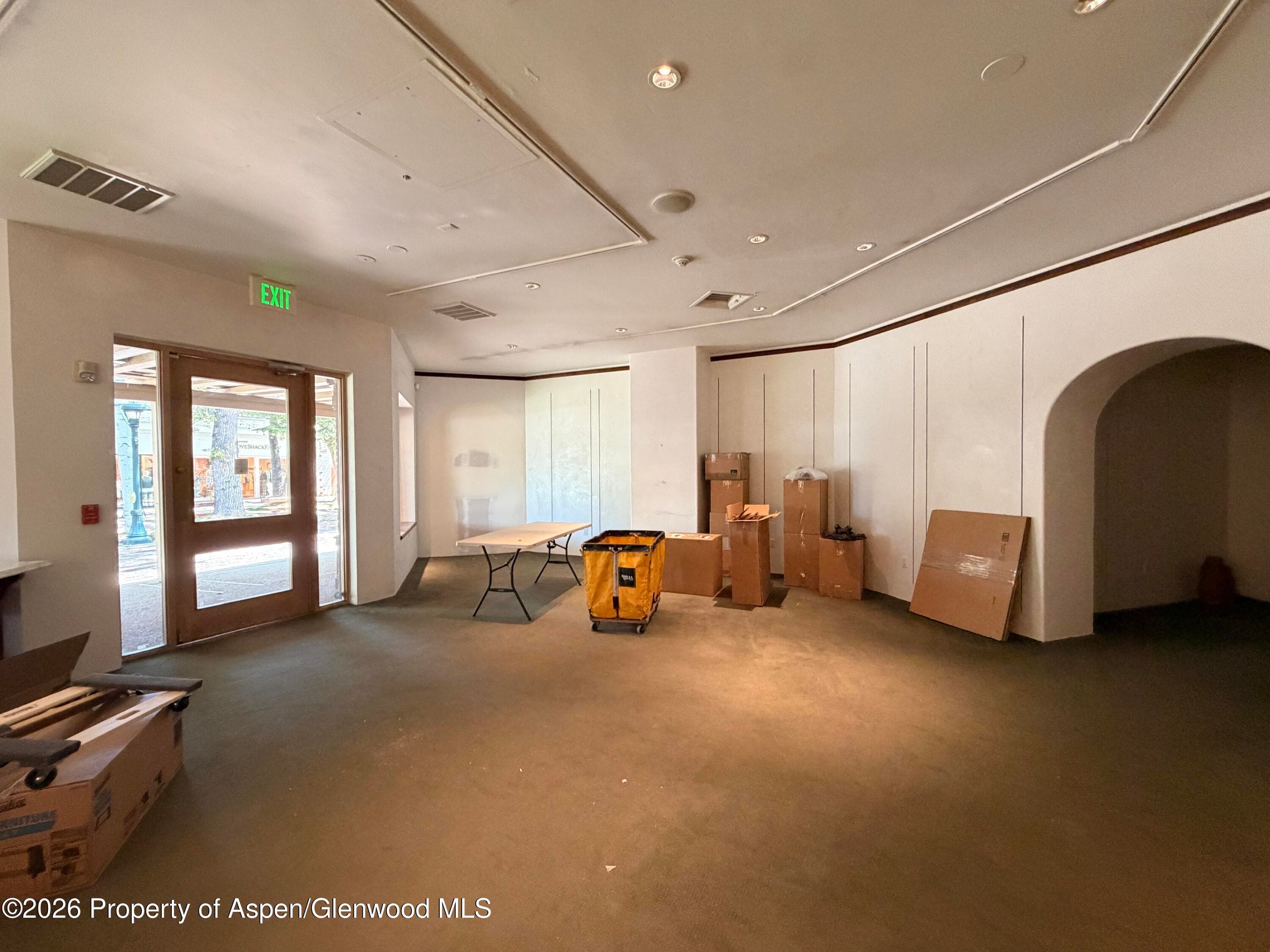 419 E Cooper Avenue, Aspen, CO 81611 - Photo 13