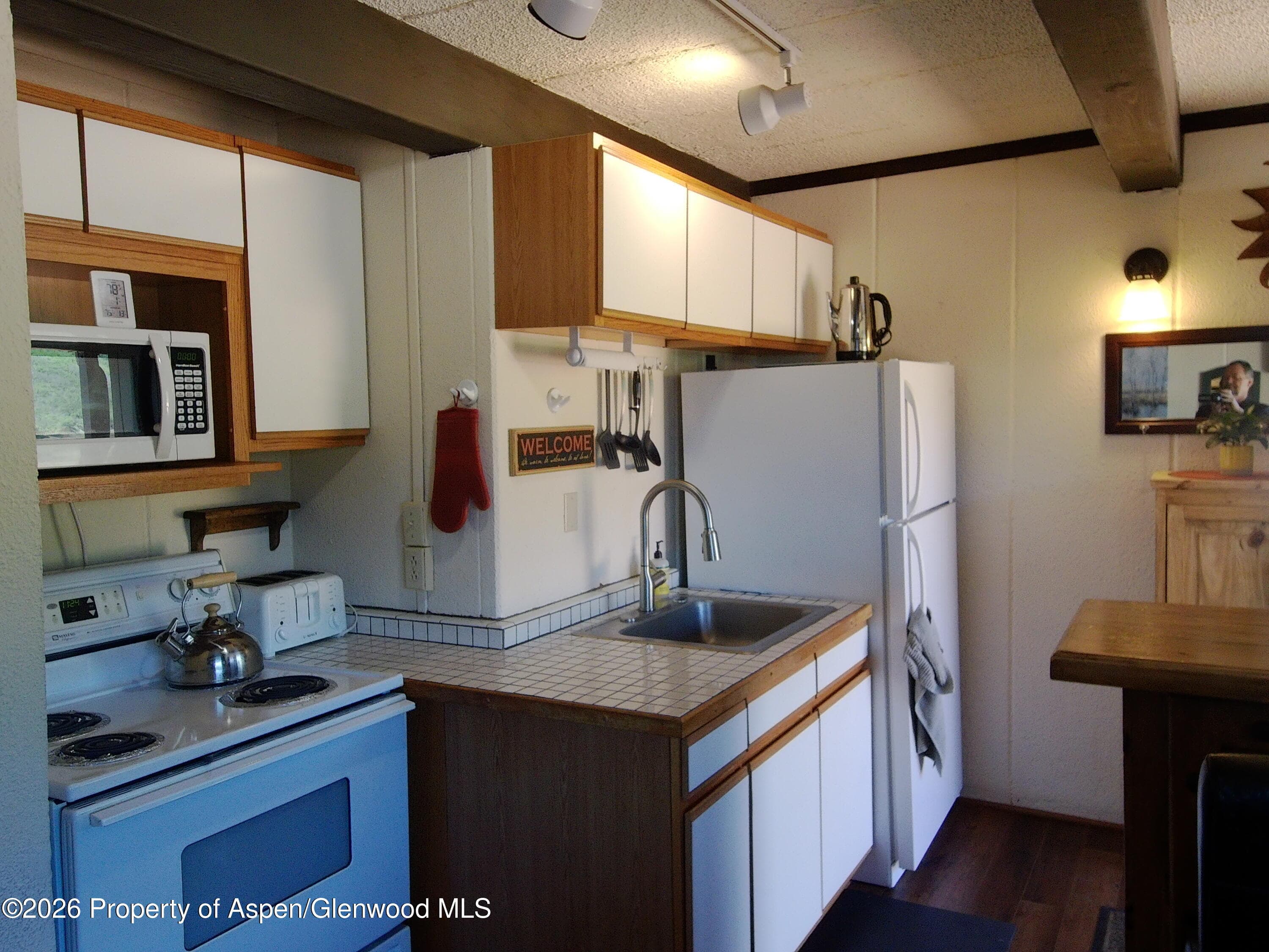 11101 County Road 117 7-C, Glenwood Springs, CO 81601 - Photo 3