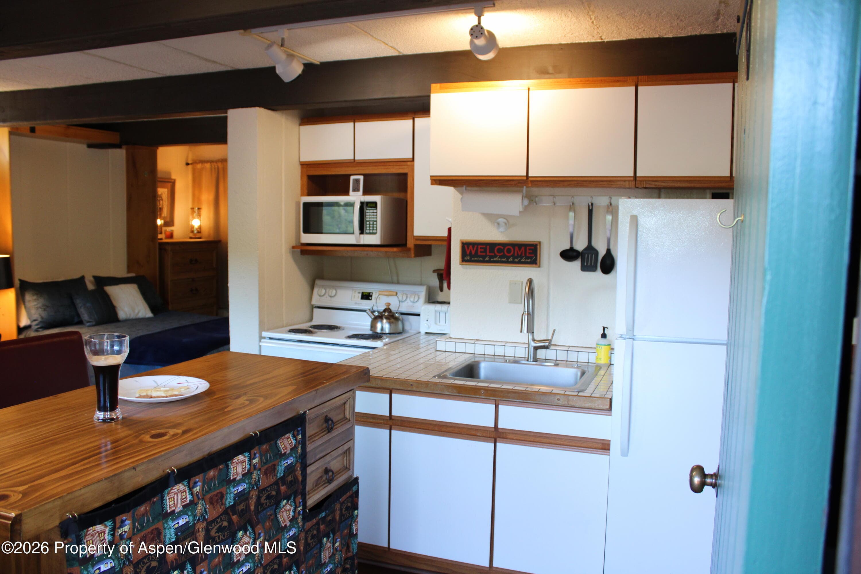 11101 County Road 117 7-C, Glenwood Springs, CO 81601 - Photo 4