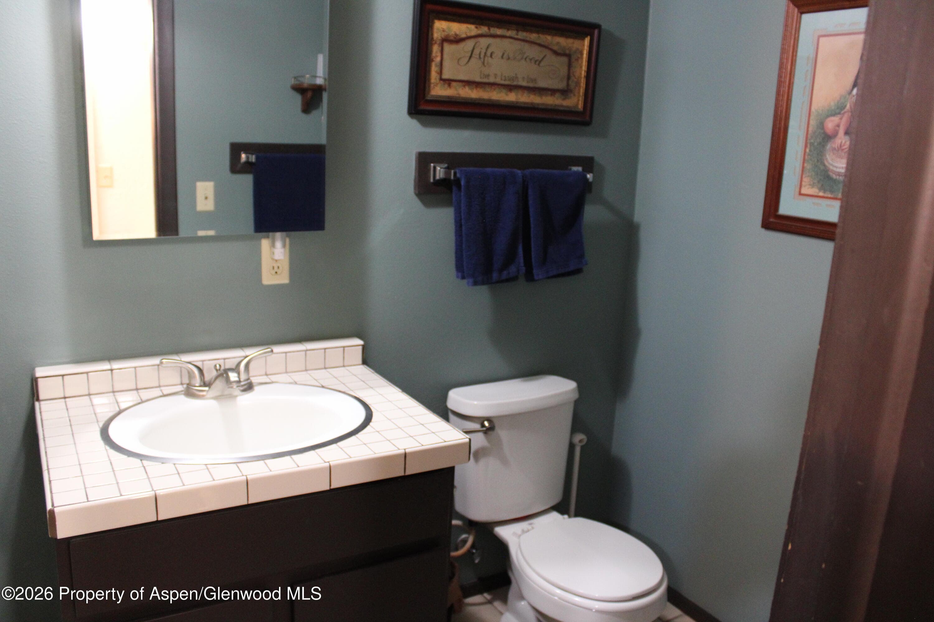11101 County Road 117 7-C, Glenwood Springs, CO 81601 - Photo 5