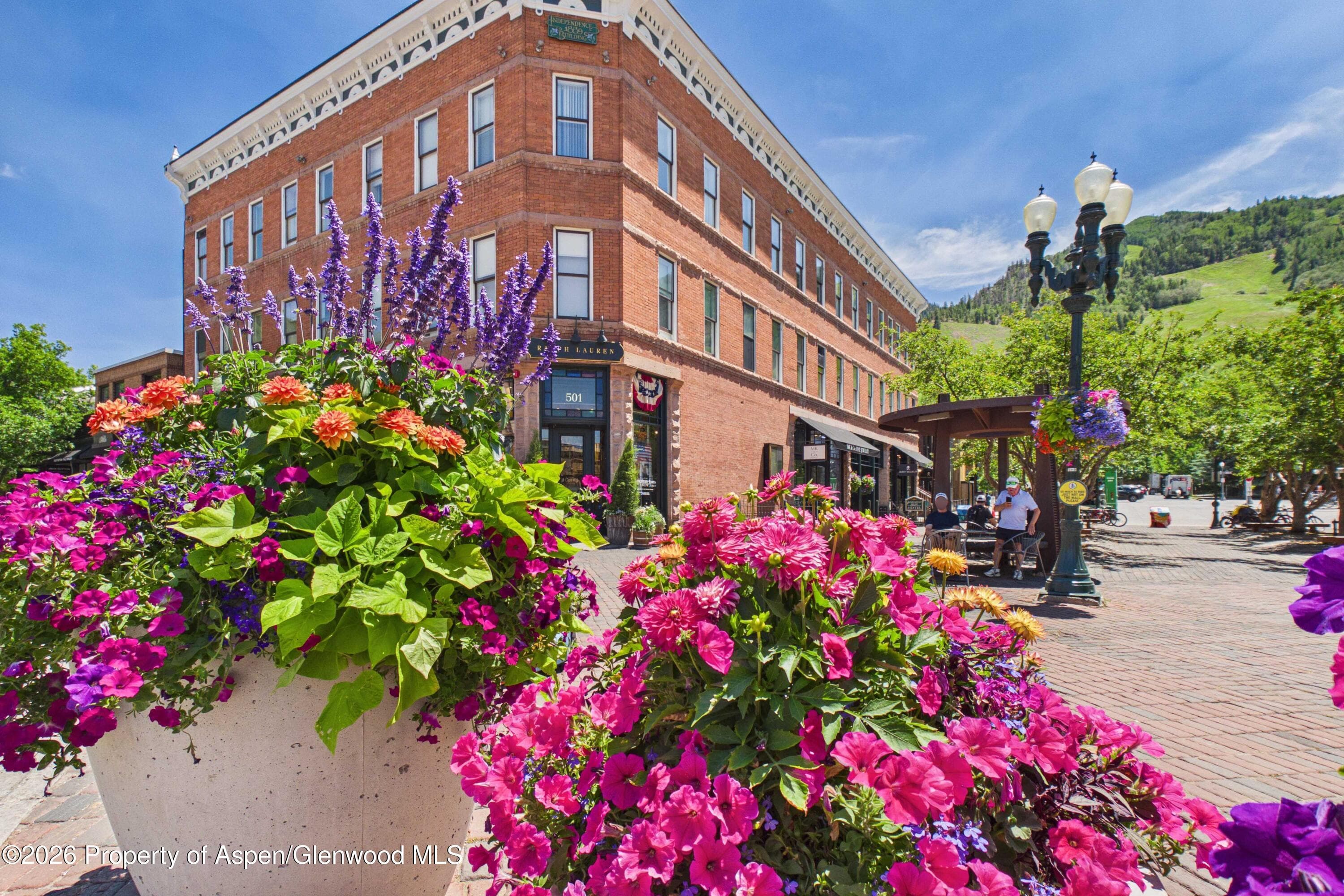 404 S Galena Street 207, Aspen, CO 81611 - Photo 10