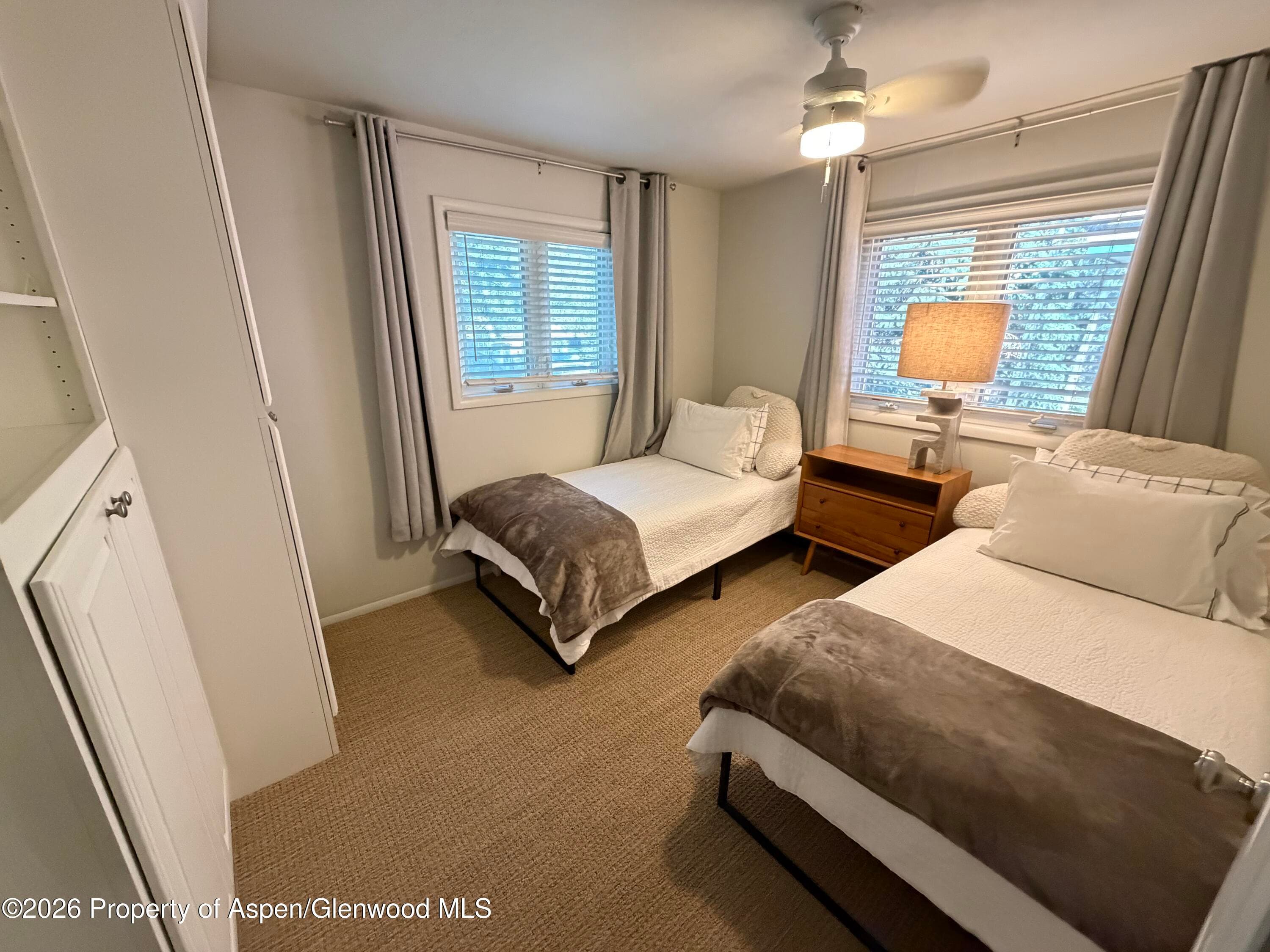 805 E Cooper Avenue 12, Aspen, CO 81611 - Photo 11