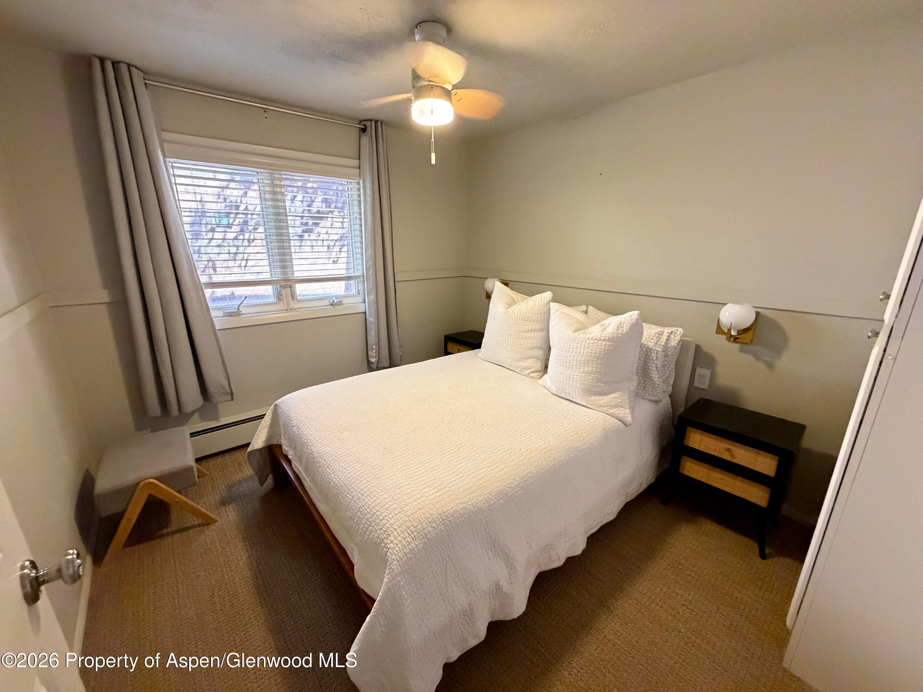 805 E Cooper Avenue 12, Aspen, CO 81611 - Photo 10