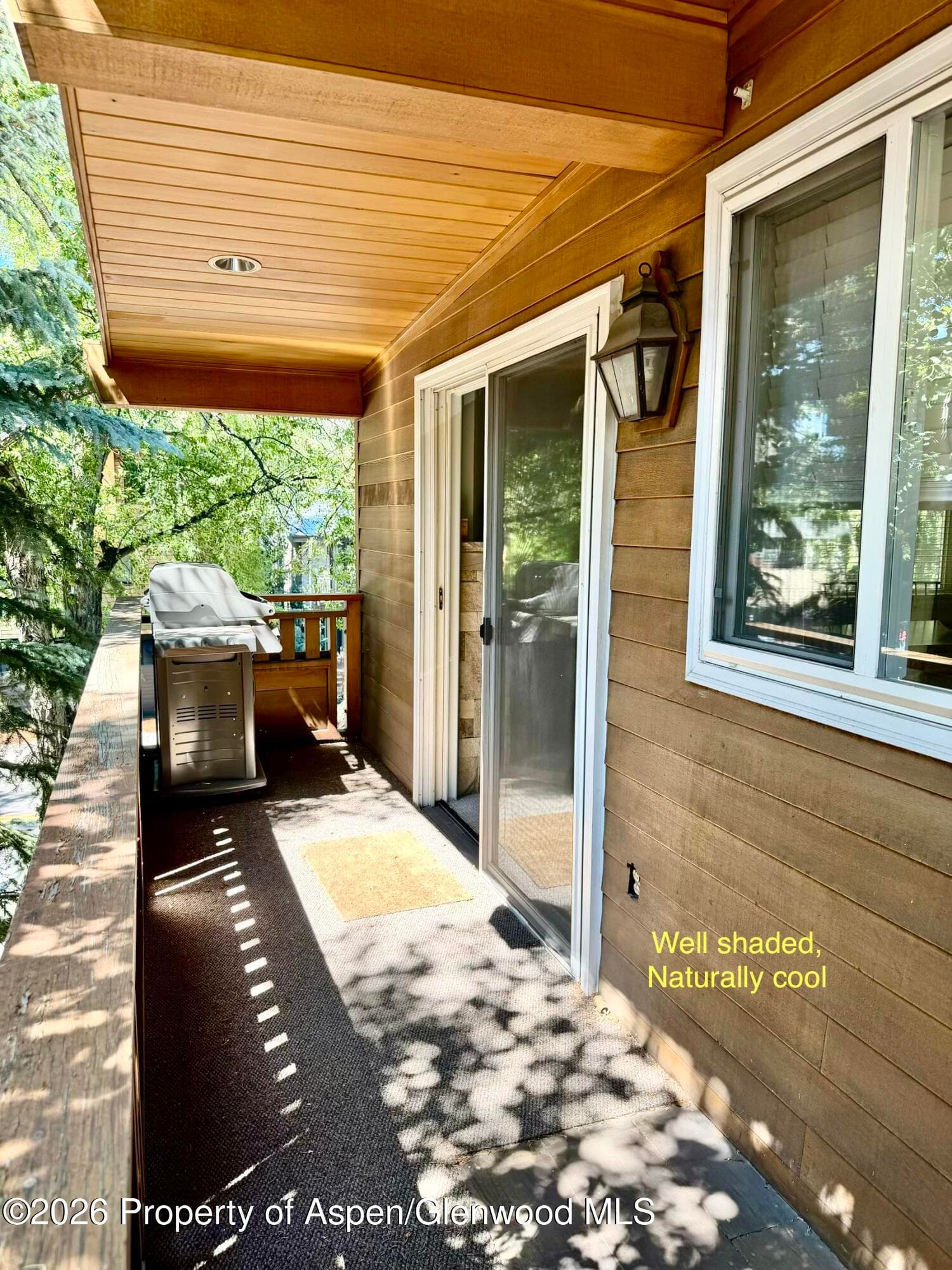 805 E Cooper Avenue 12, Aspen, CO 81611 - Photo 12