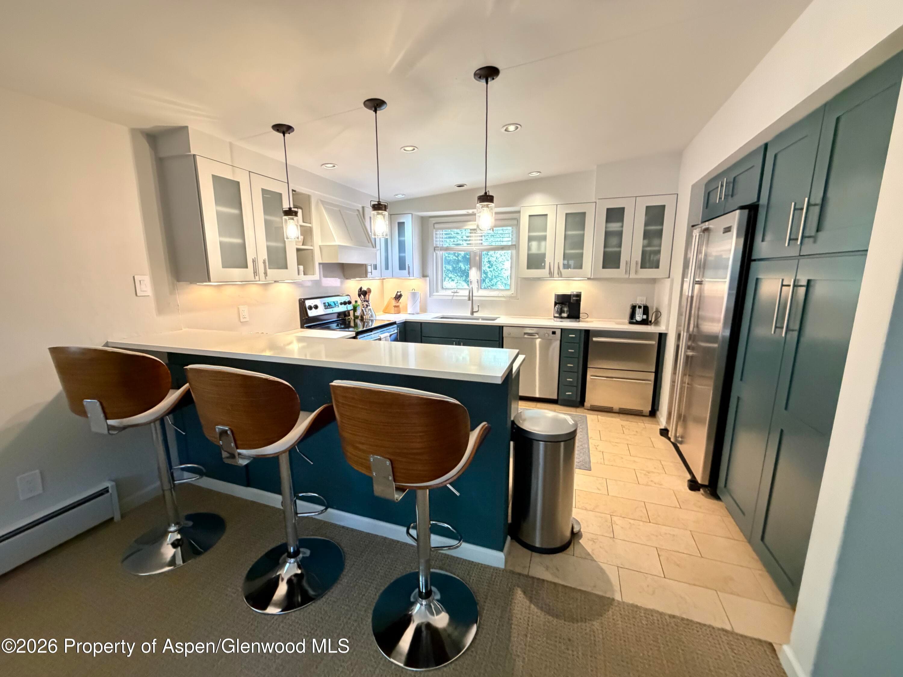 805 E Cooper Avenue 12, Aspen, CO 81611