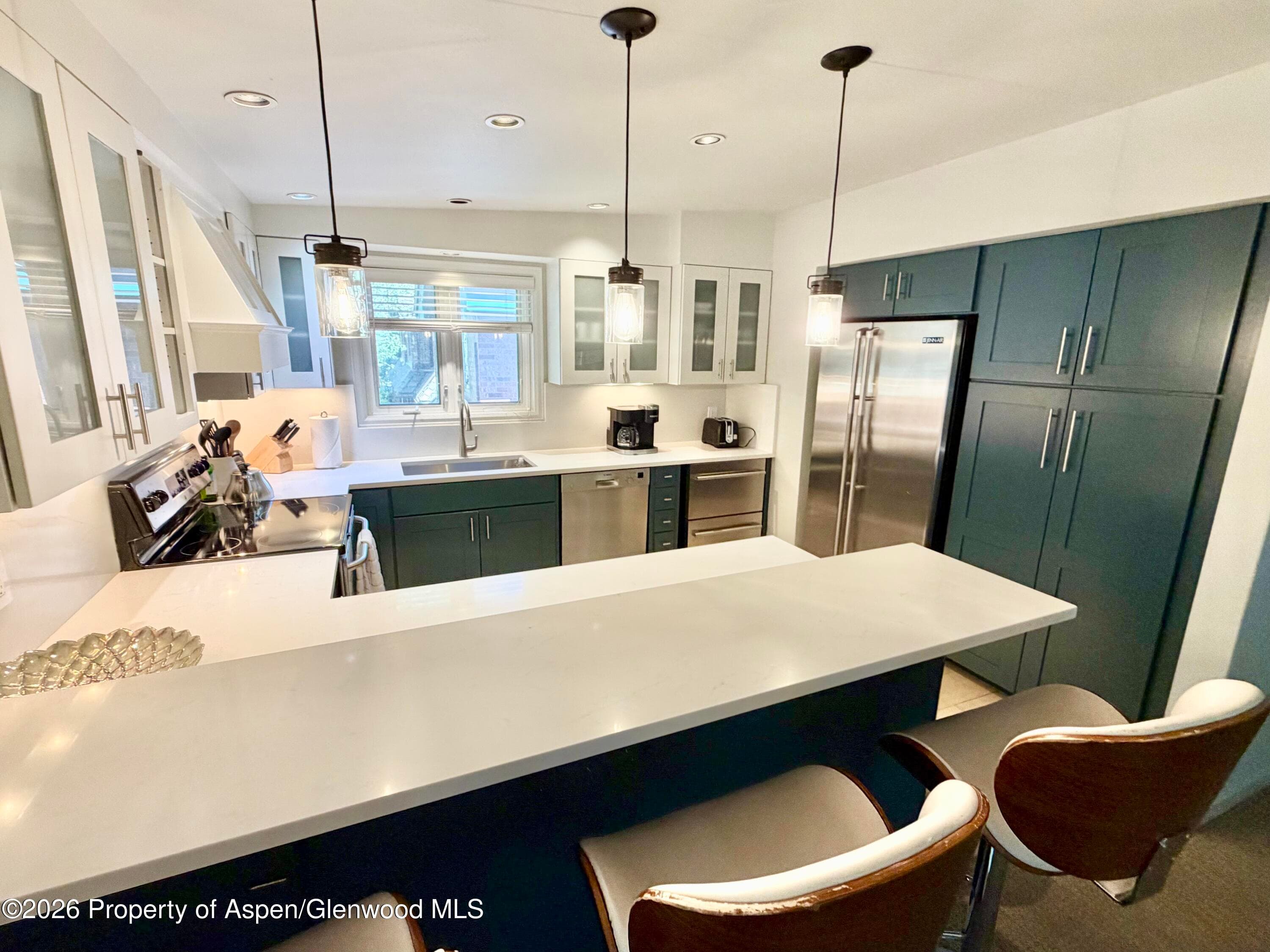 805 E Cooper Avenue 12, Aspen, CO 81611 - Photo 2