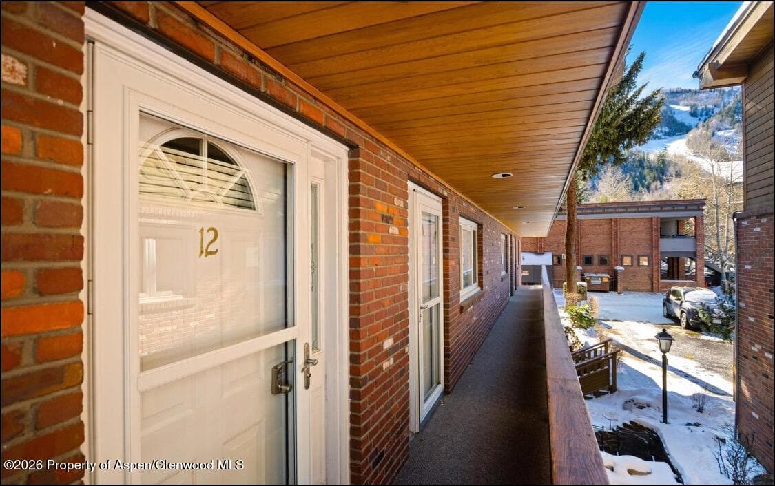 805 E Cooper Avenue 12, Aspen, CO 81611 - Photo 14