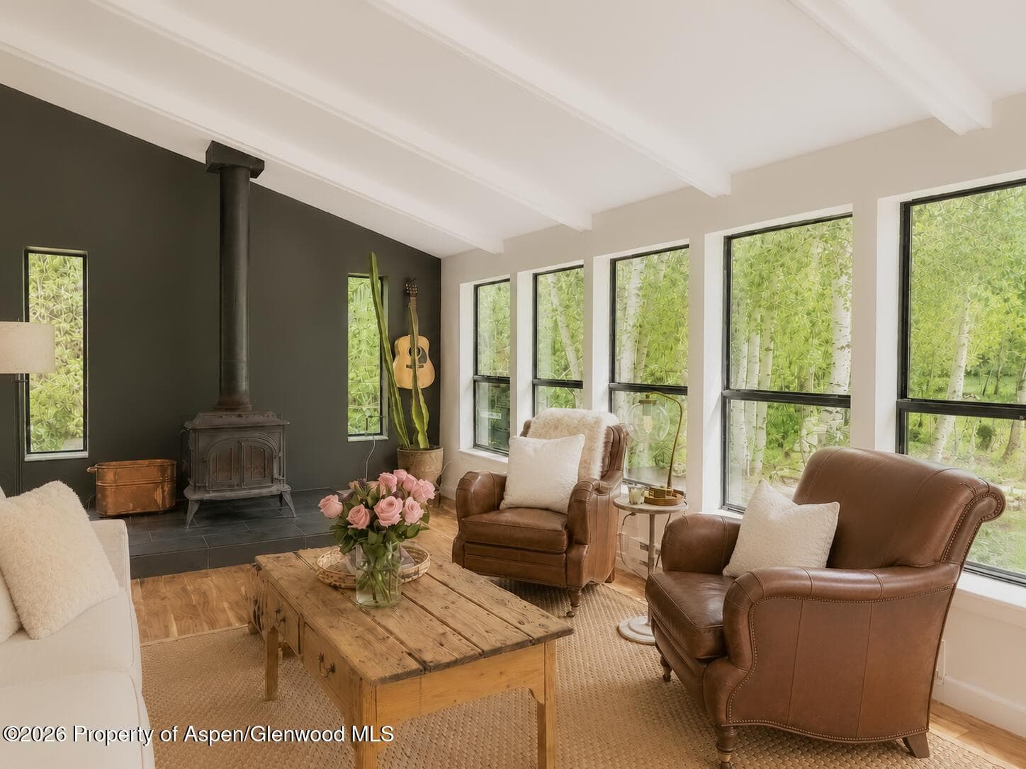 61 Davidson Lane, Snowmass, CO 81654 - Photo 4