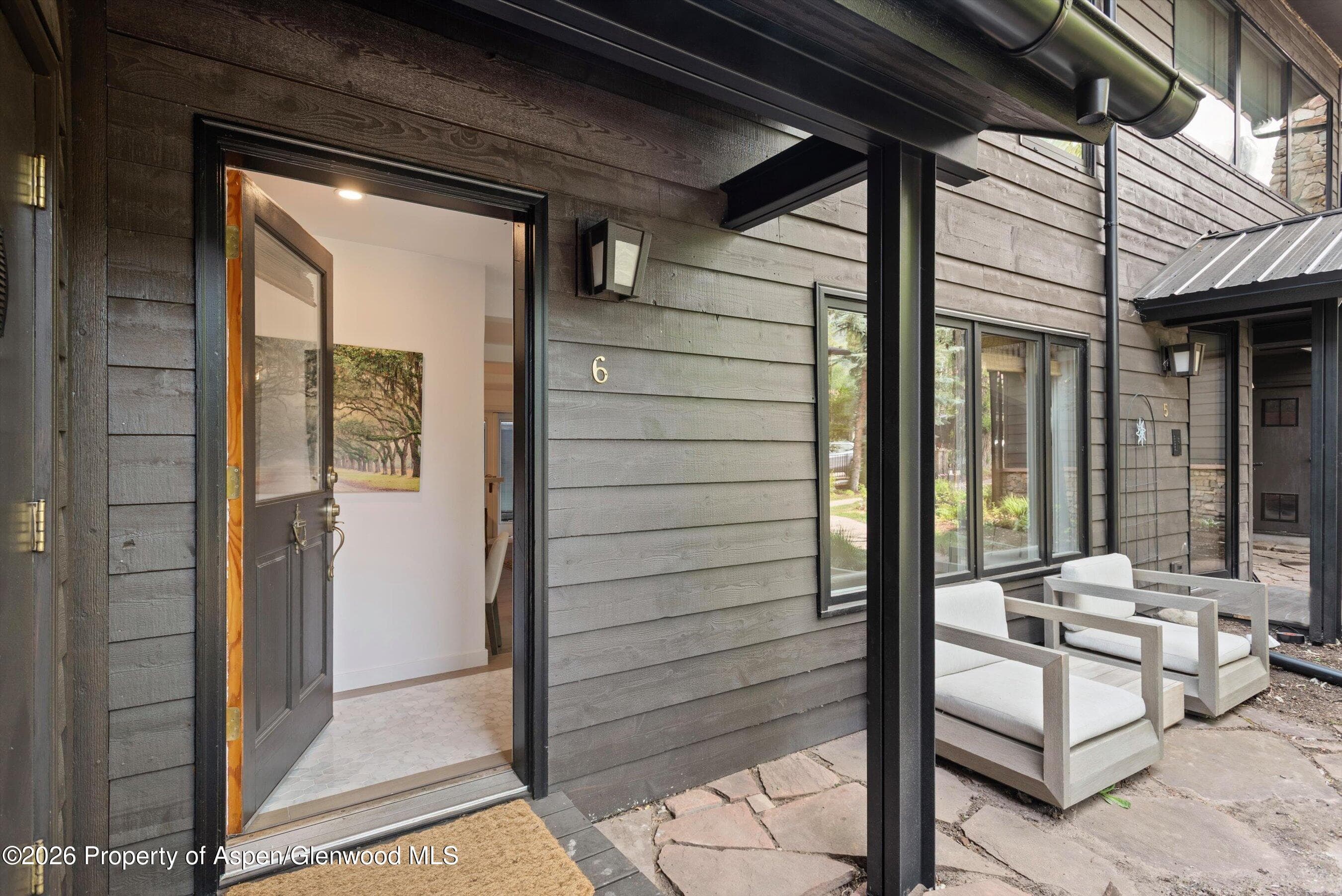 960 E Durant Avenue 6, Aspen, CO 81611 - Photo 5