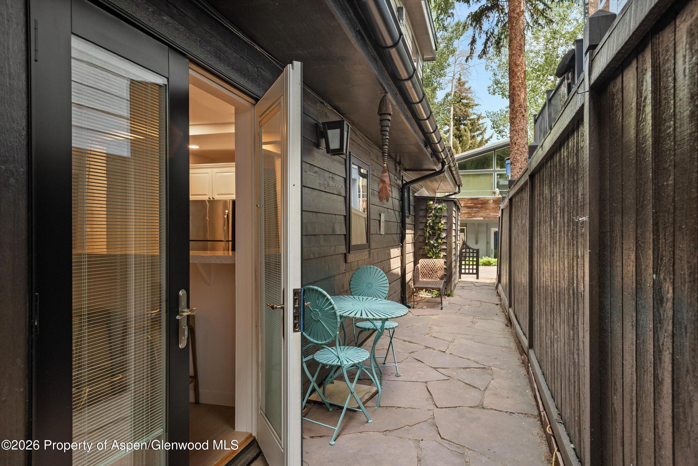 960 E Durant Avenue 6, Aspen, CO 81611 - Photo 7