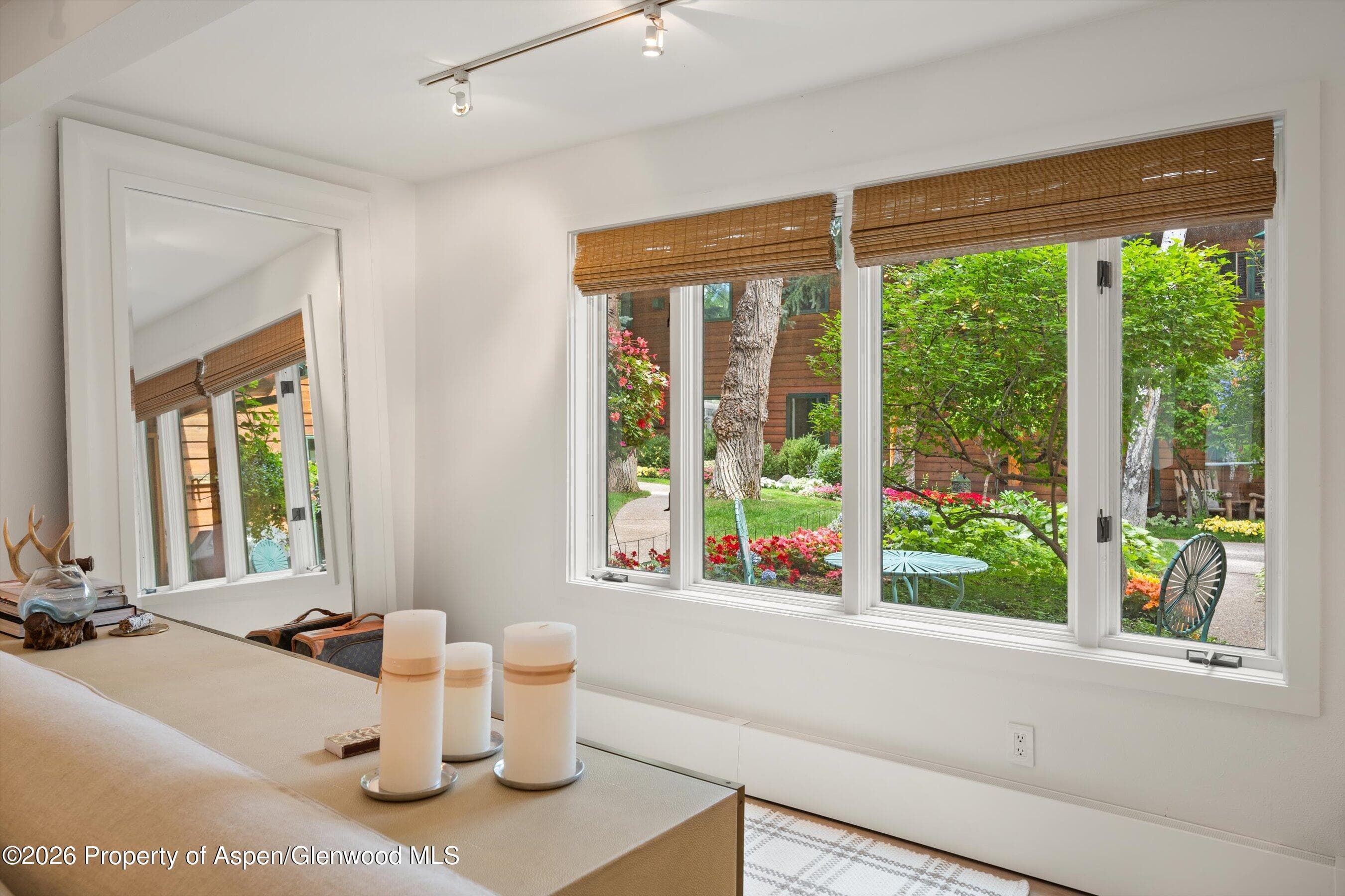 960 E Durant Avenue 6, Aspen, CO 81611 - Photo 16