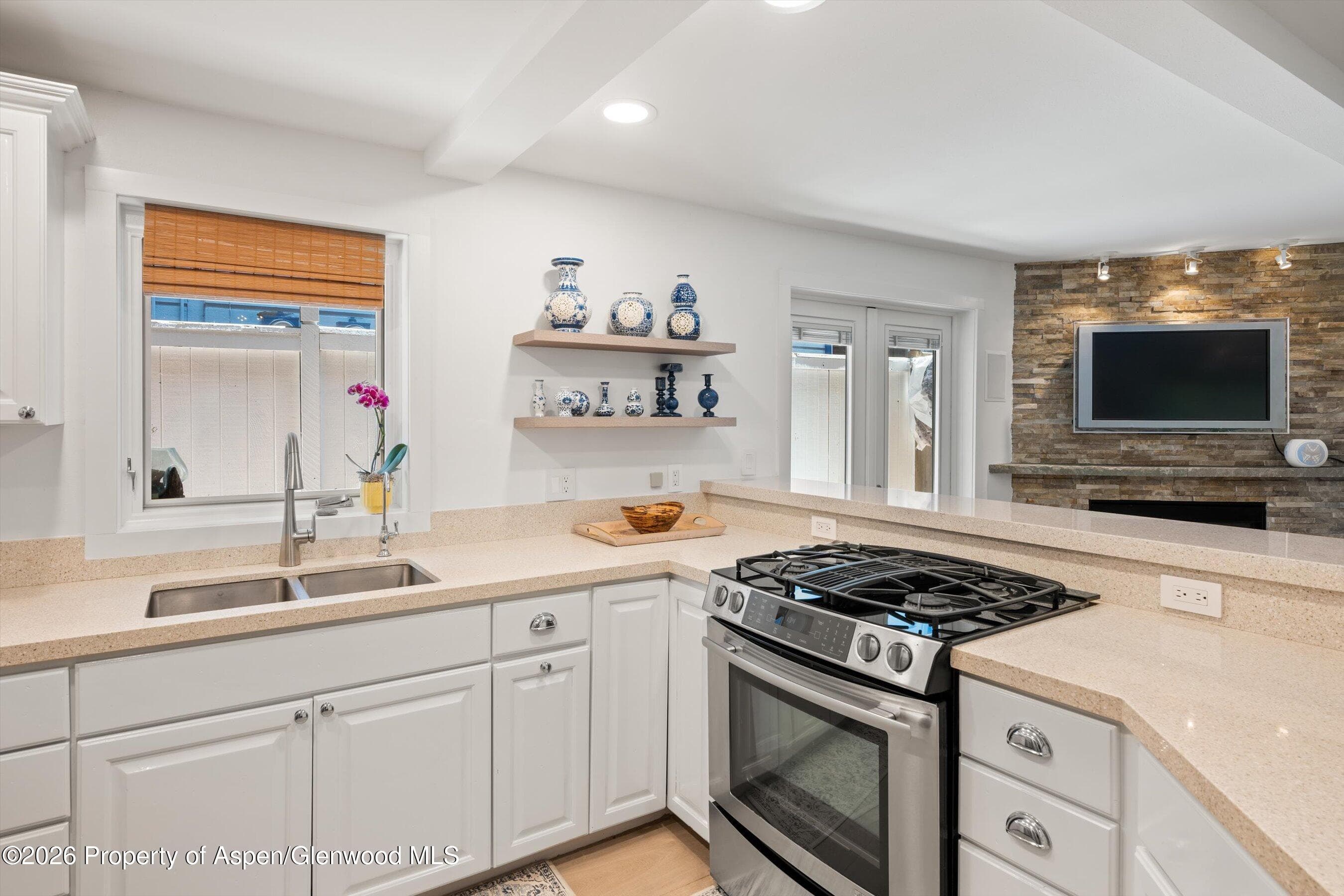 960 E Durant Avenue 6, Aspen, CO 81611 - Photo 18