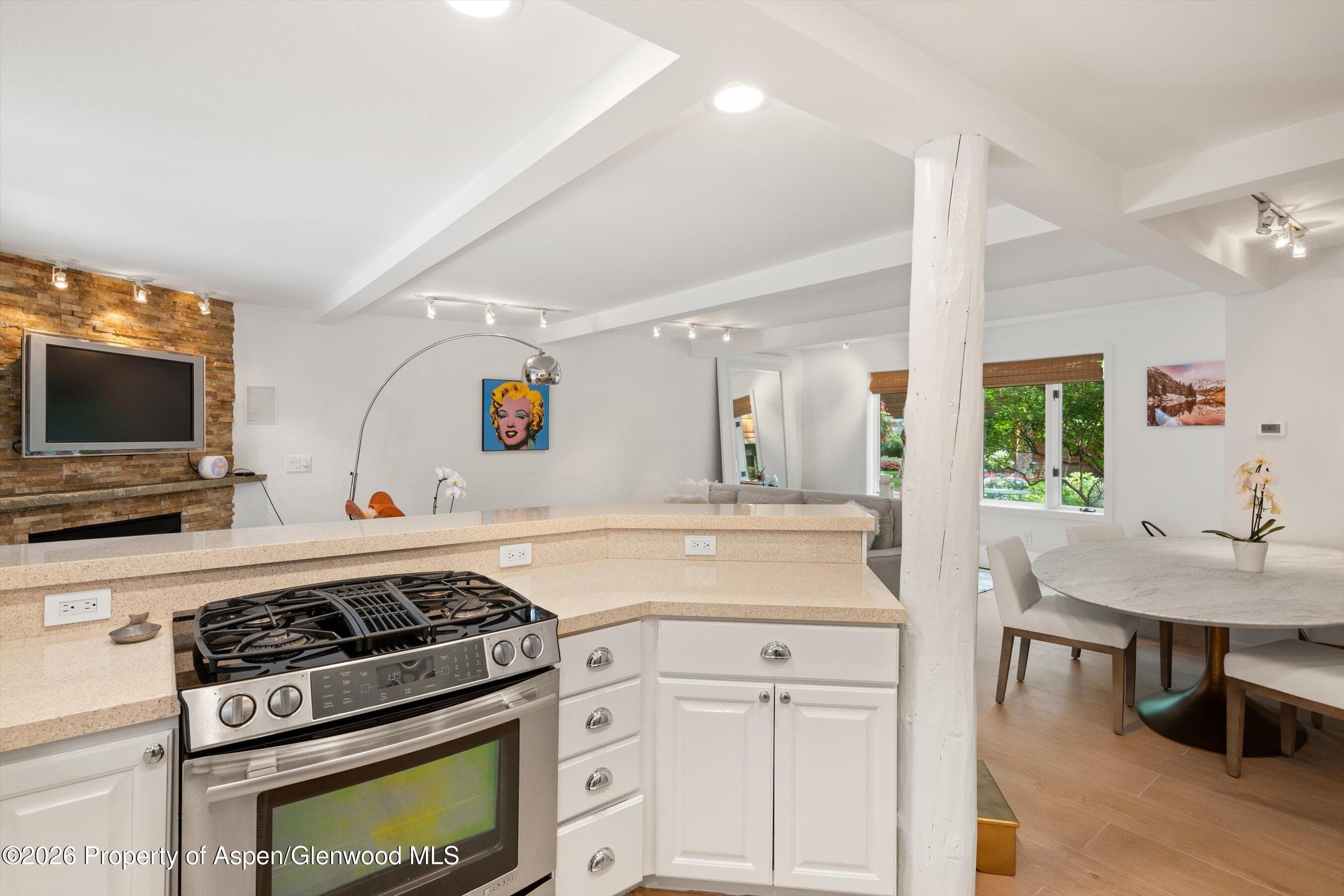 960 E Durant Avenue 6, Aspen, CO 81611 - Photo 19