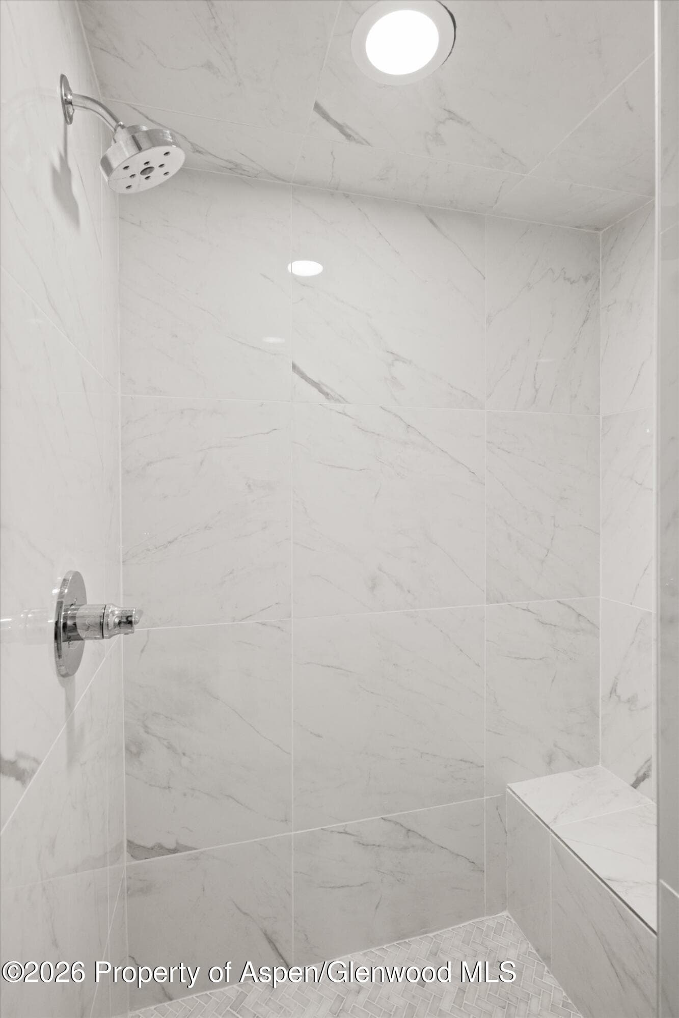 960 E Durant Avenue 6, Aspen, CO 81611 - Photo 29