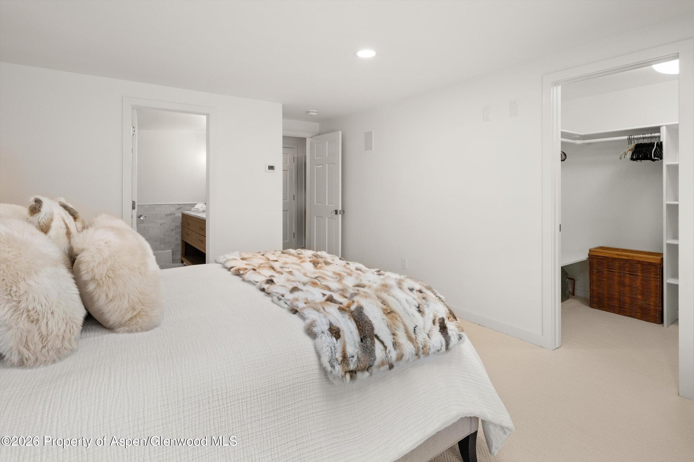 960 E Durant Avenue 6, Aspen, CO 81611 - Photo 23