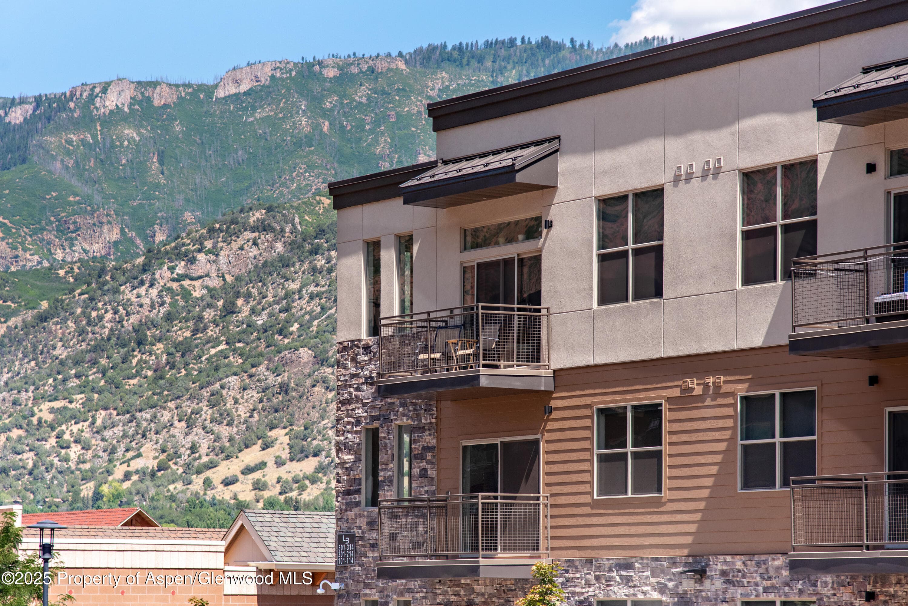 253 Wulfsohn Road 211, Glenwood Springs, CO 81601 - Photo 4