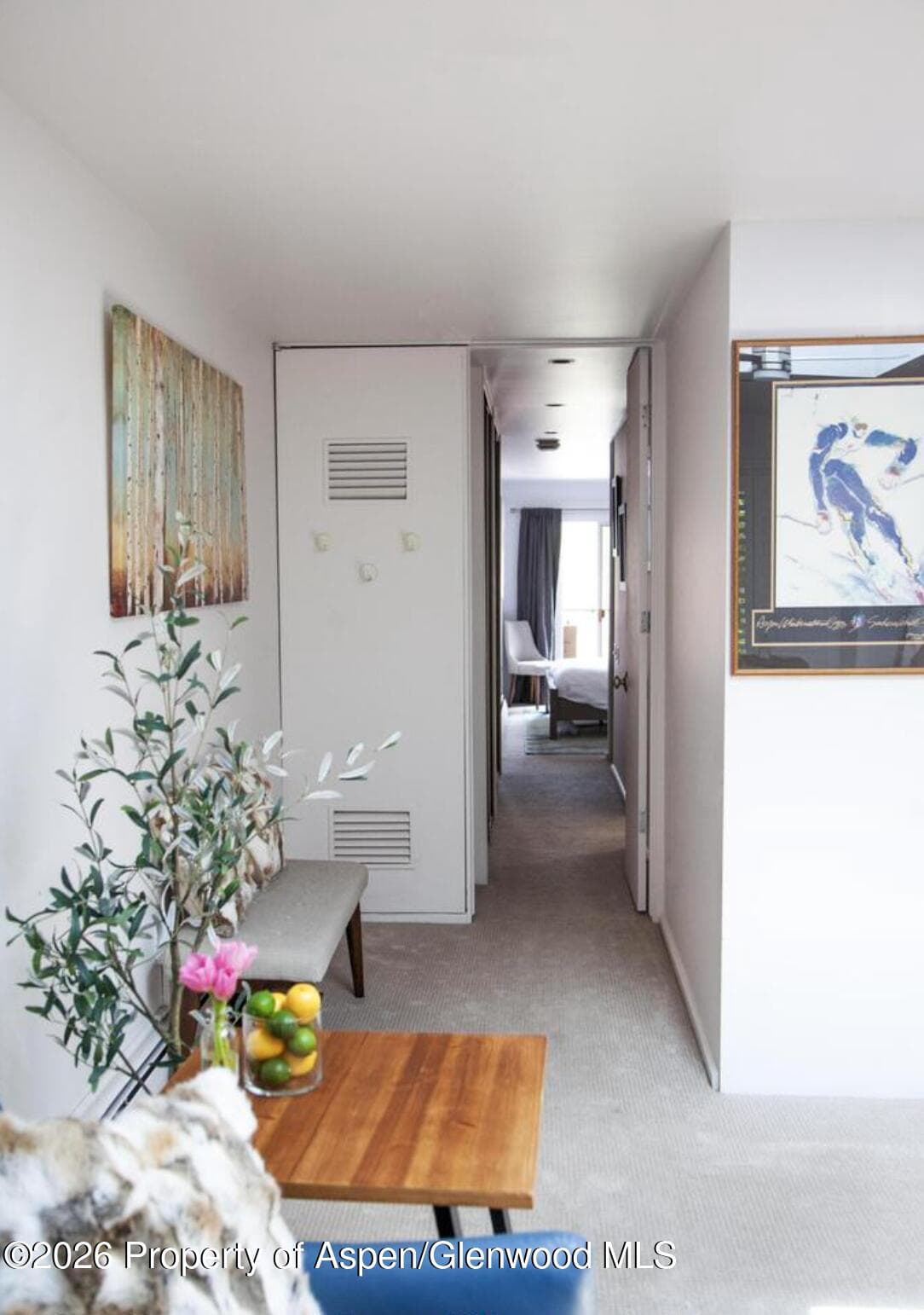 210 E Cooper Avenue 3-E, Aspen, CO 81611 - Photo 4