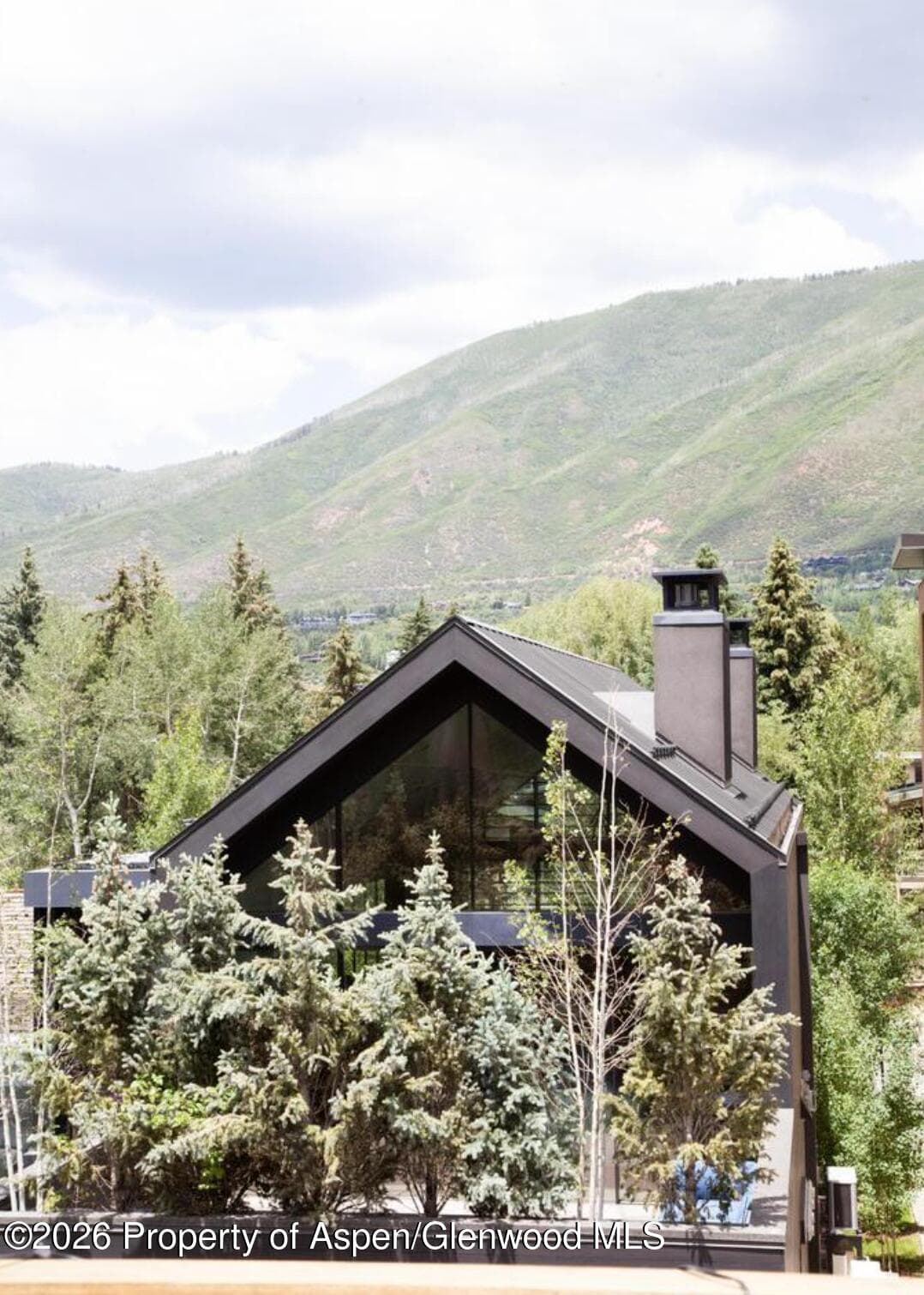 210 E Cooper Avenue 3-E, Aspen, CO 81611 - Photo 12