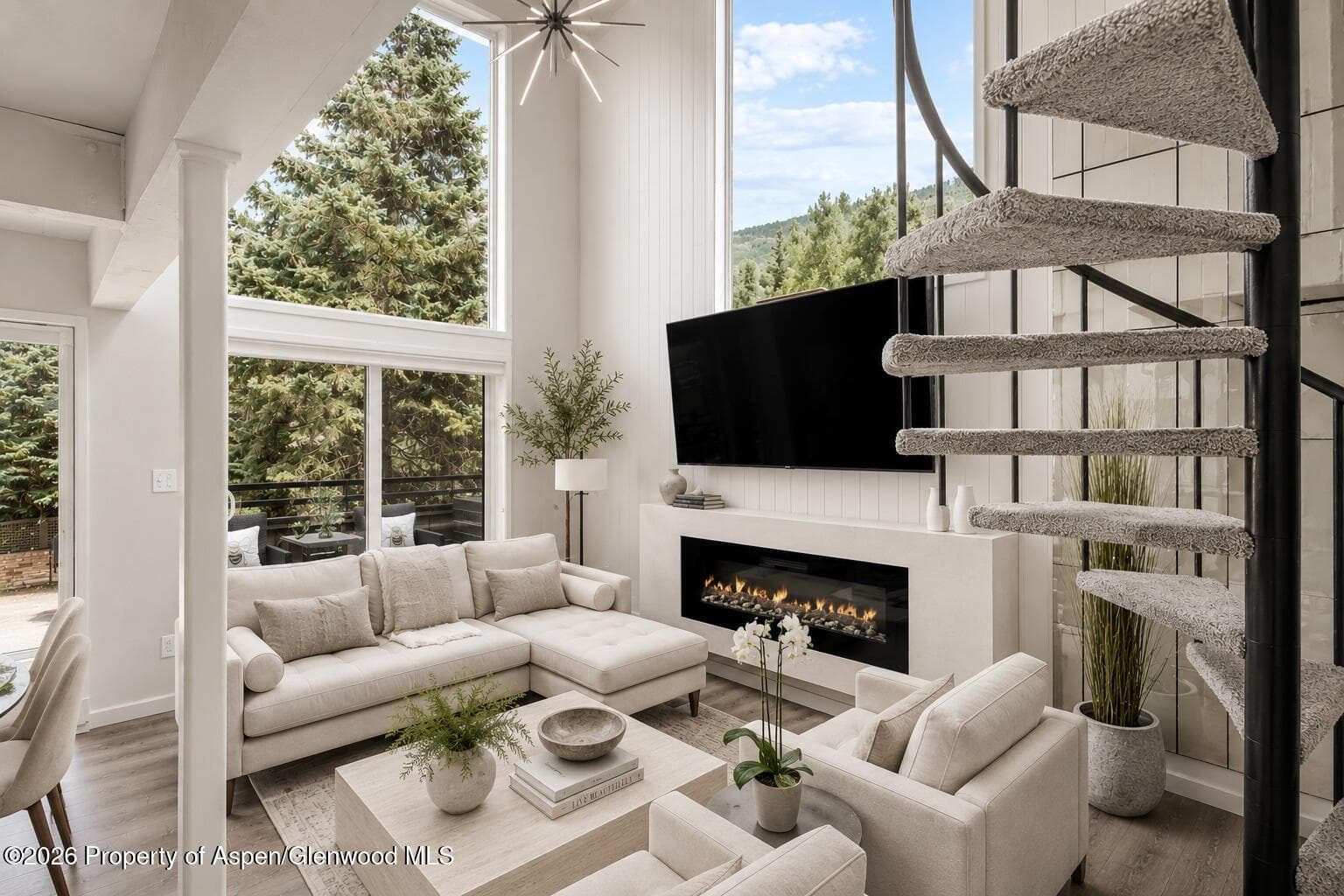 1024 E Cooper Avenue 2, Aspen, CO 81611 - Photo 2