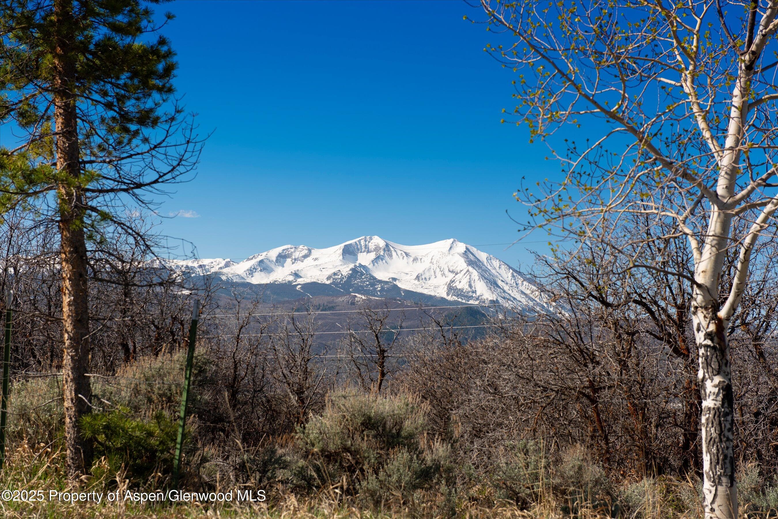 81 Mountain View Road, Carbondale, CO 81623 - Photo 3