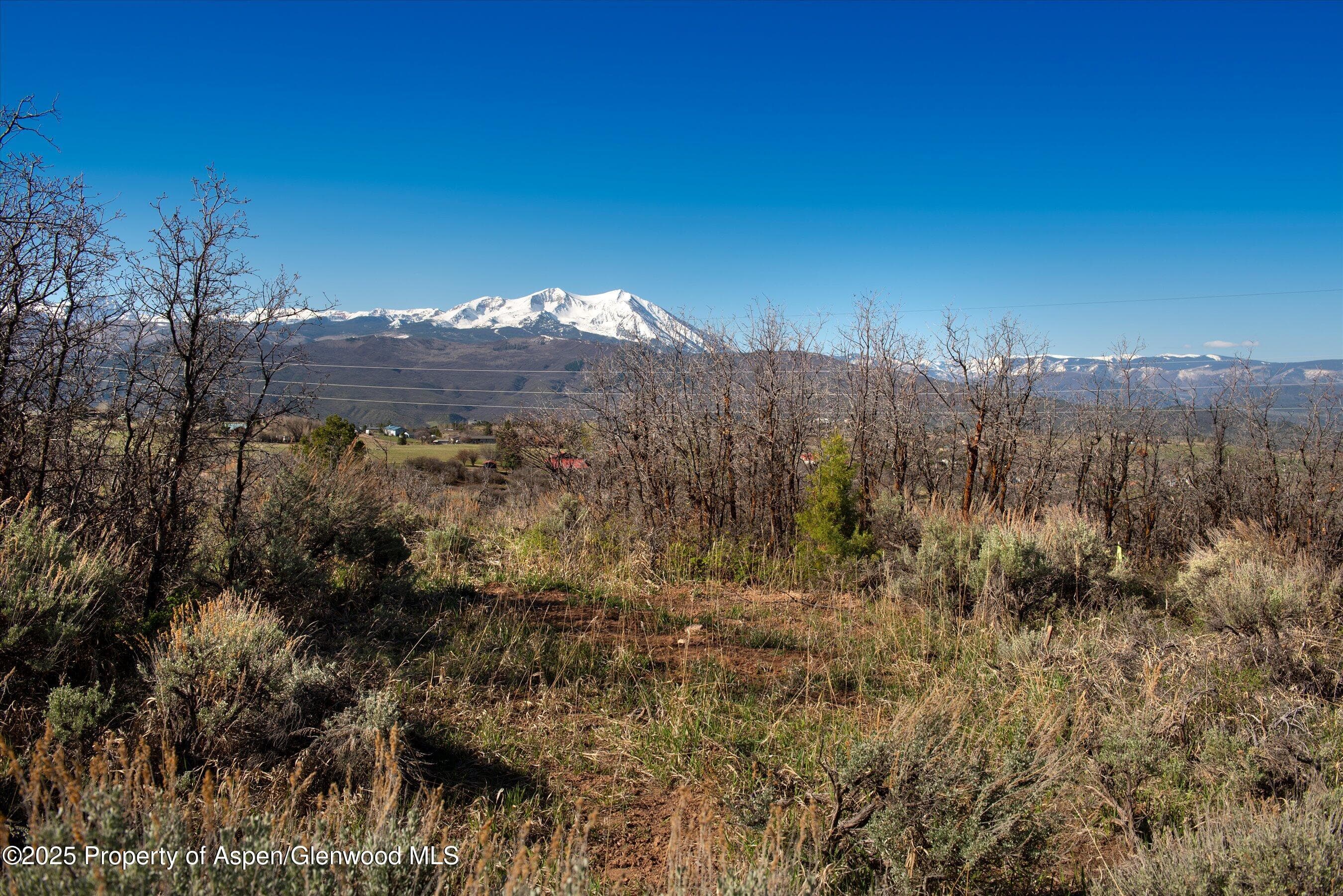 81 Mountain View Road, Carbondale, CO 81623 - Photo 10