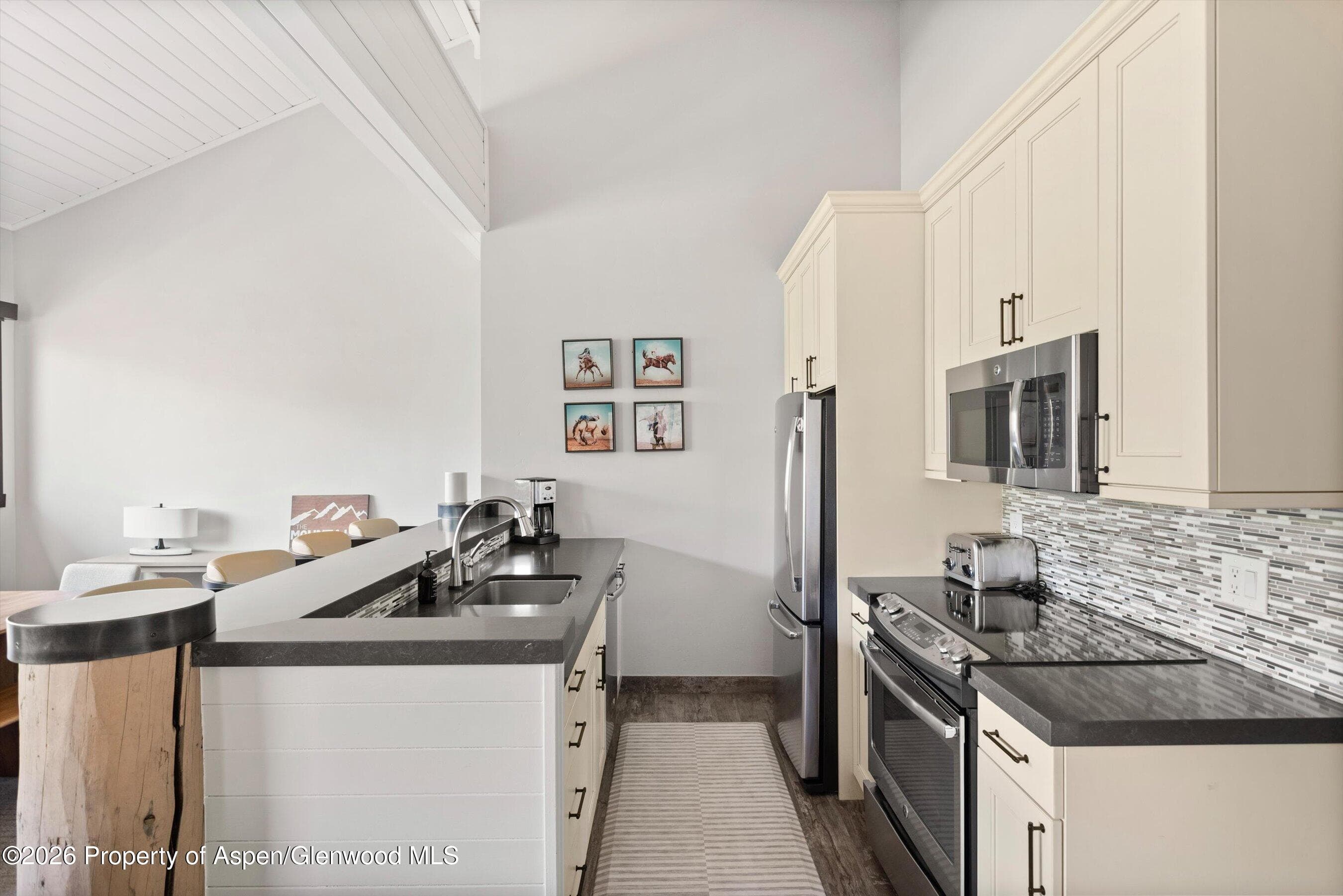 150 Snowmass Club Circle 1537, Snowmass Village, CO 81615 - Photo 10
