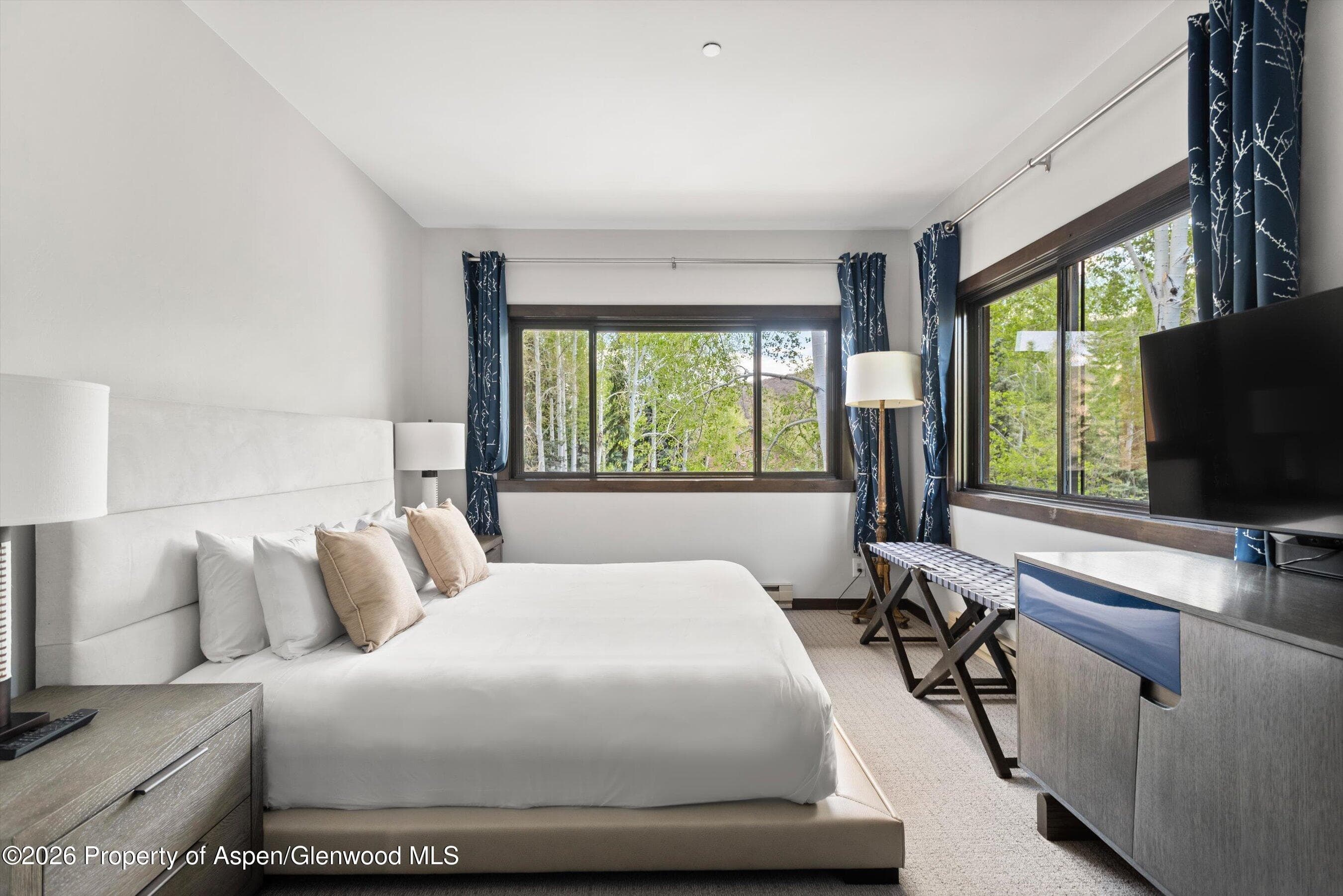 150 Snowmass Club Circle 1537, Snowmass Village, CO 81615 - Photo 12