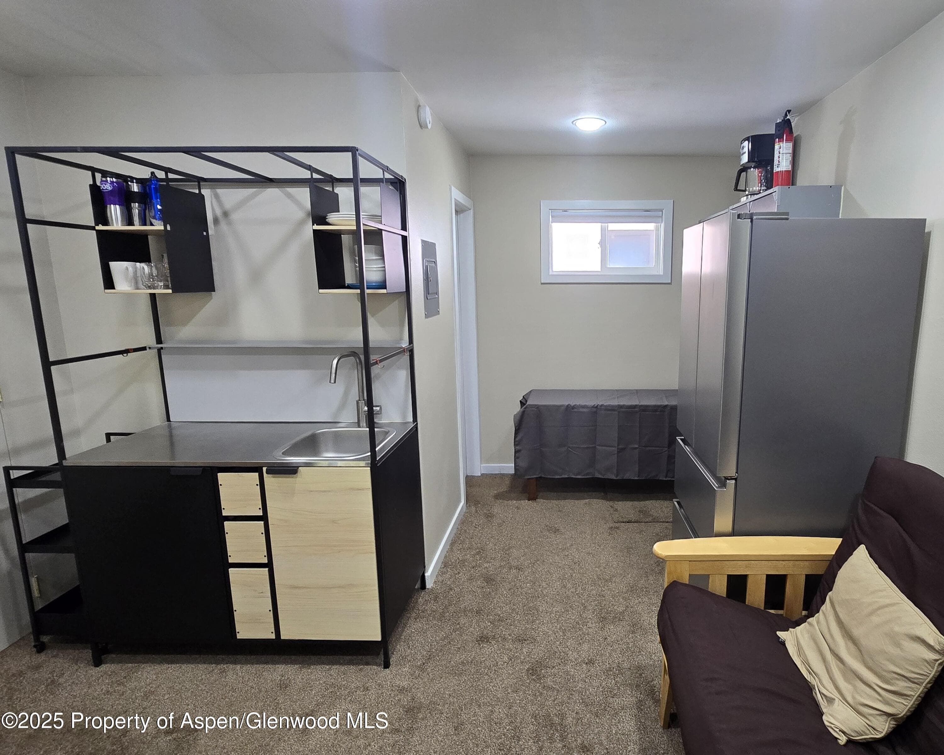 175 Midland Avenue 4, Basalt, CO 81621 - Photo 3