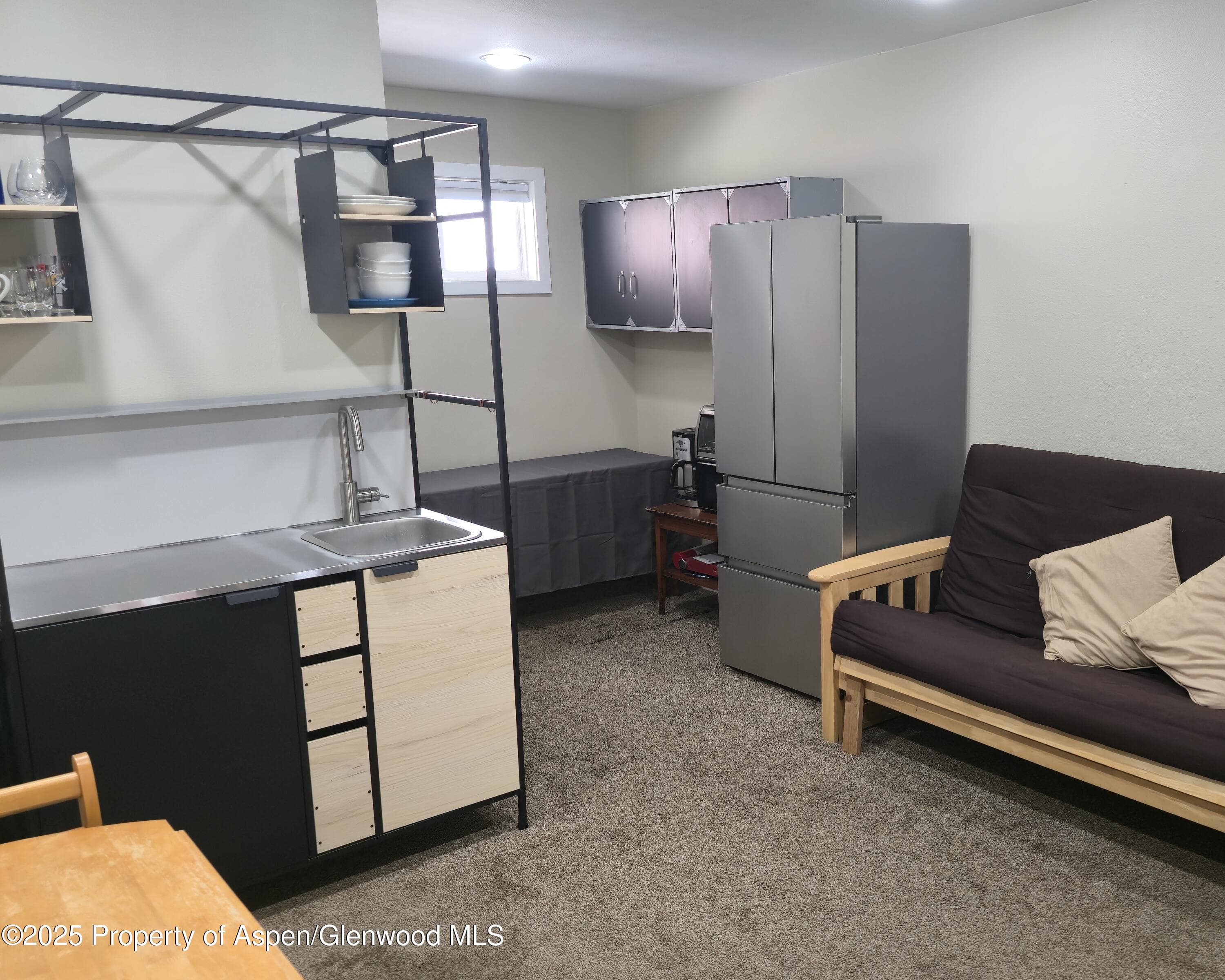 175 Midland Avenue 4, Basalt, CO 81621 - Photo 4