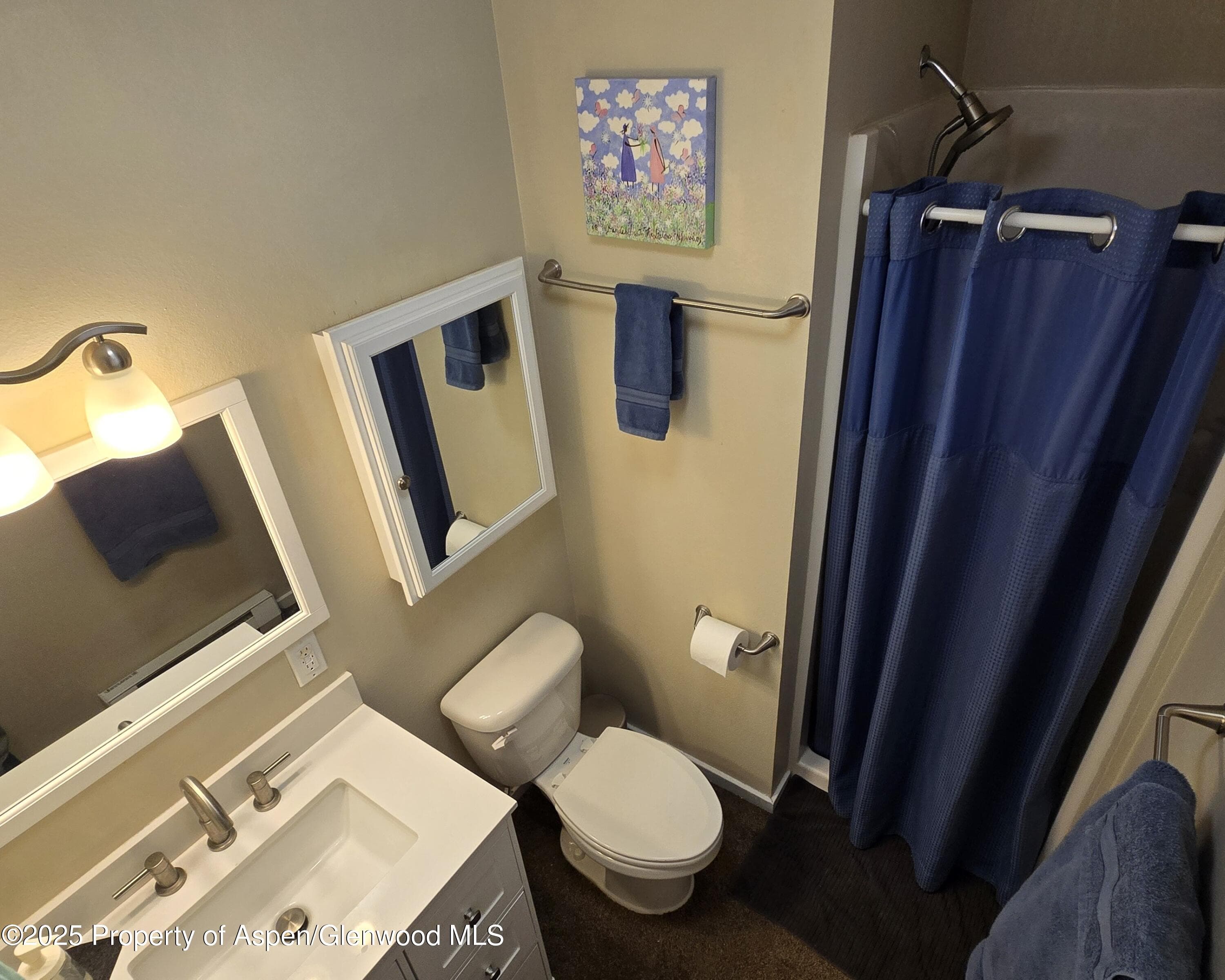175 Midland Avenue 4, Basalt, CO 81621 - Photo 7