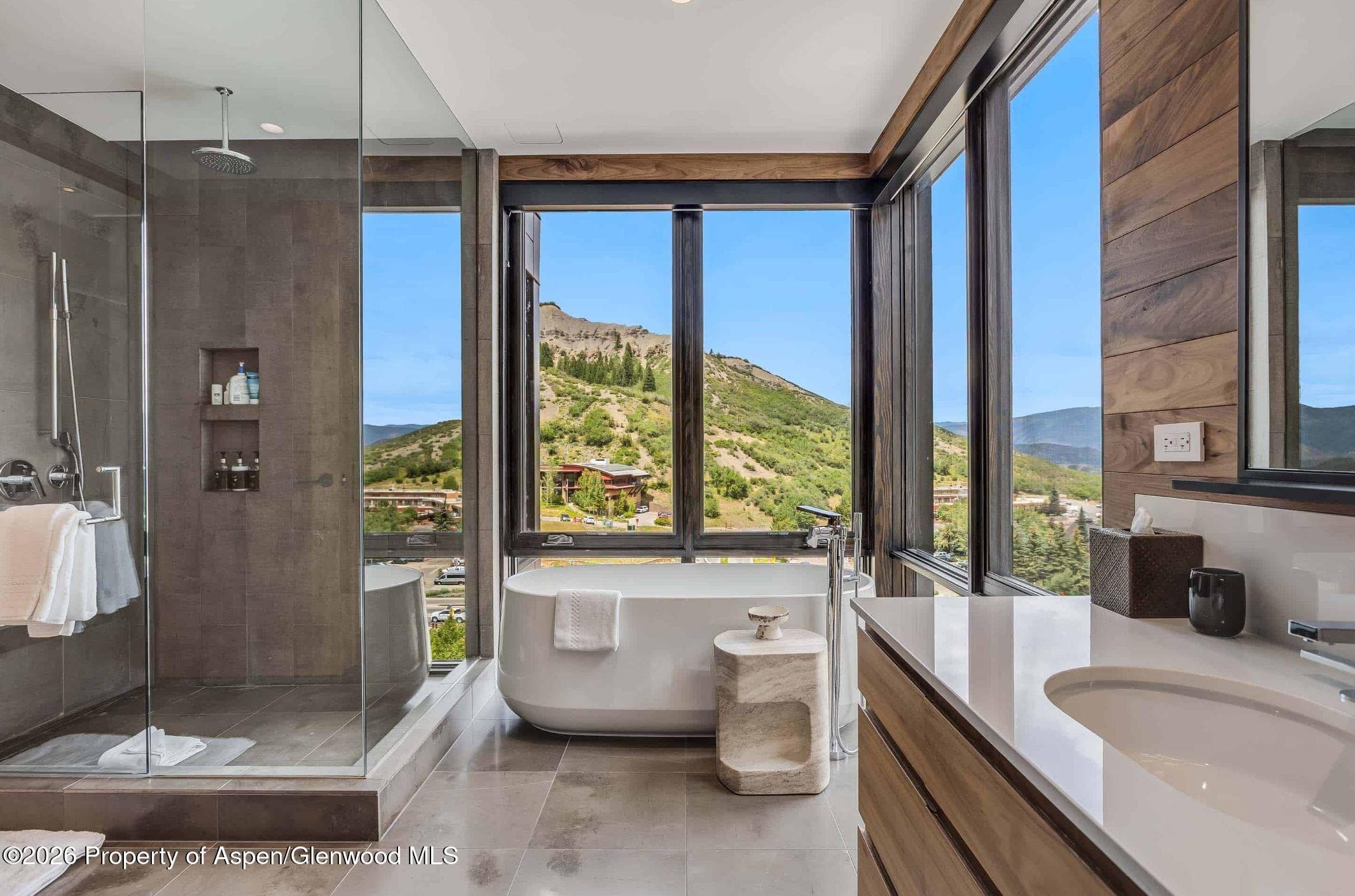 45 Wood Road 603, Snowmass Village, CO 81615 - Photo 28