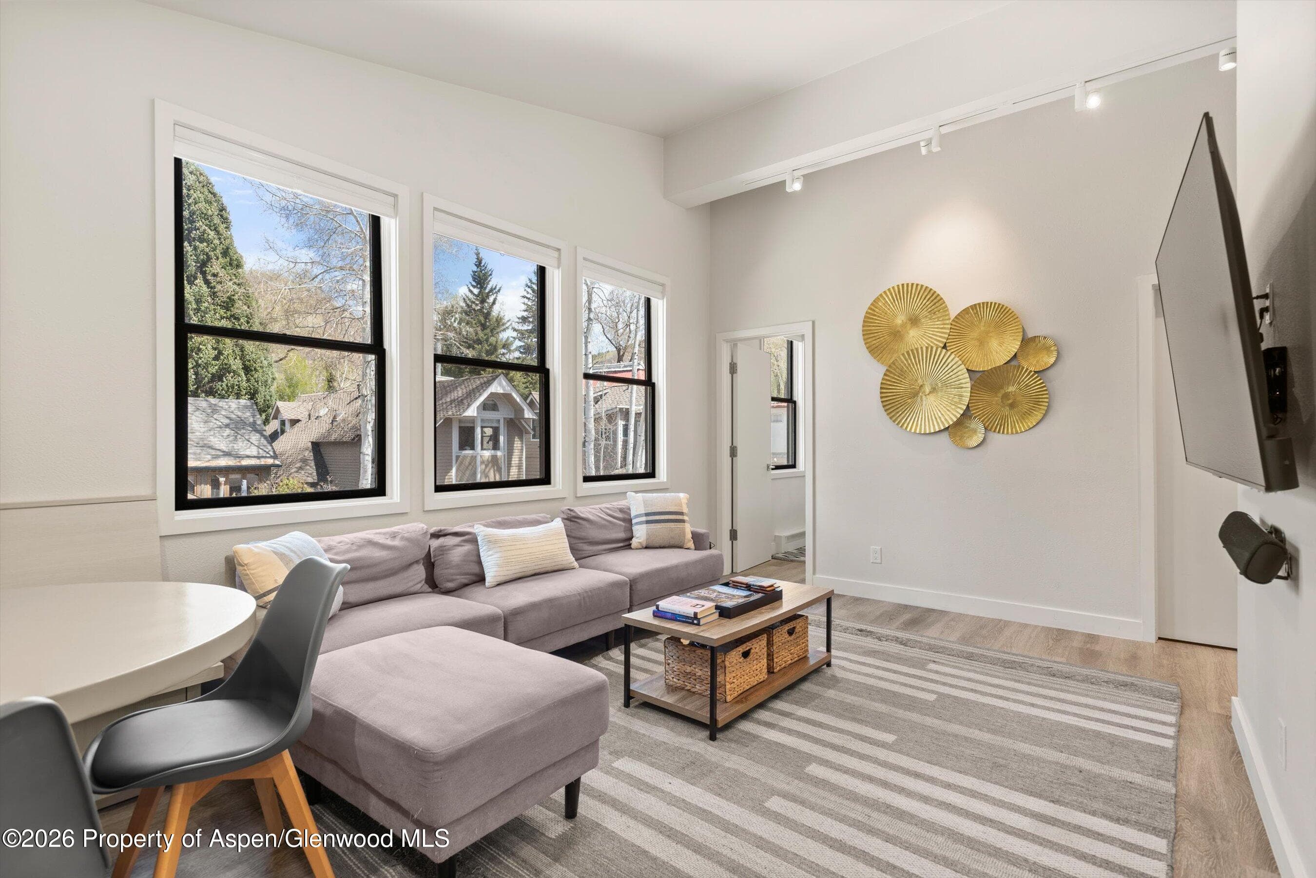 220 W Main Street 201, Aspen, CO 81611 - Photo 3