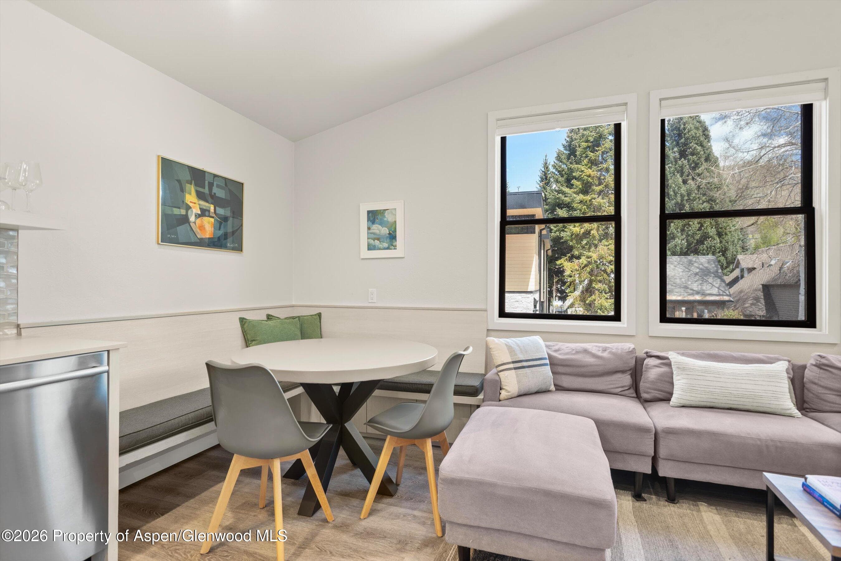 220 W Main Street 201, Aspen, CO 81611 - Photo 4