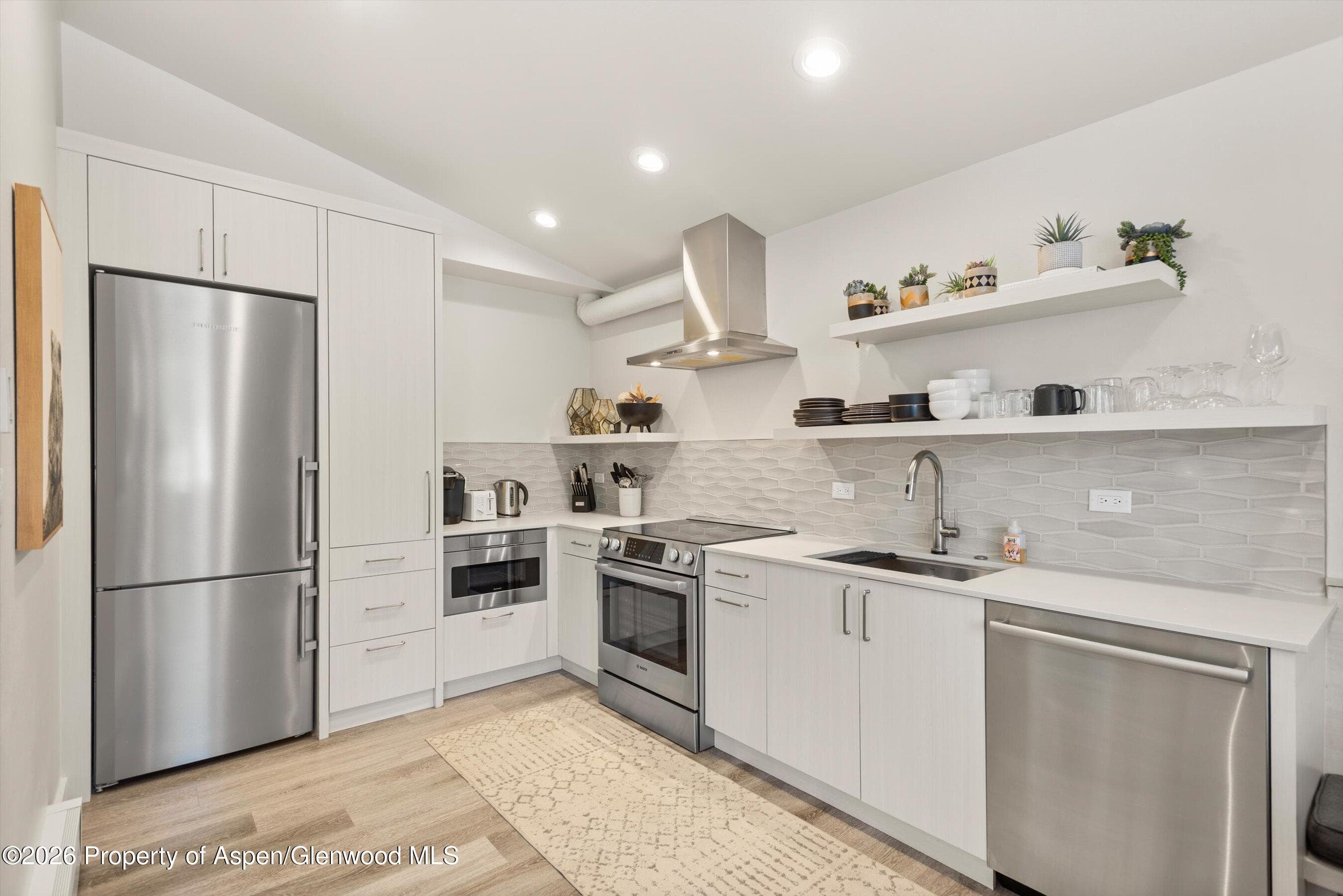 220 W Main Street 201, Aspen, CO 81611 - Photo 5
