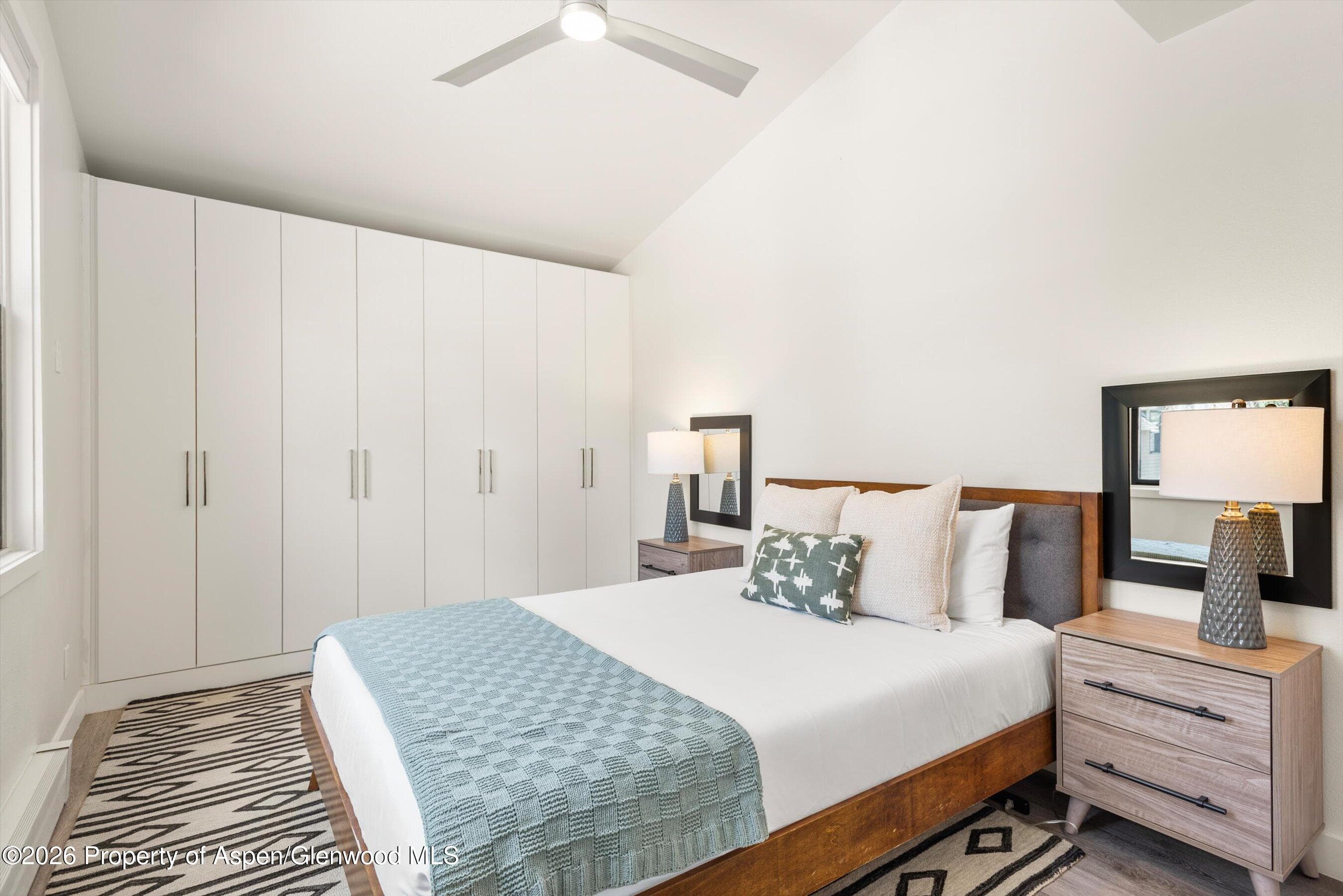 220 W Main Street 201, Aspen, CO 81611 - Photo 6
