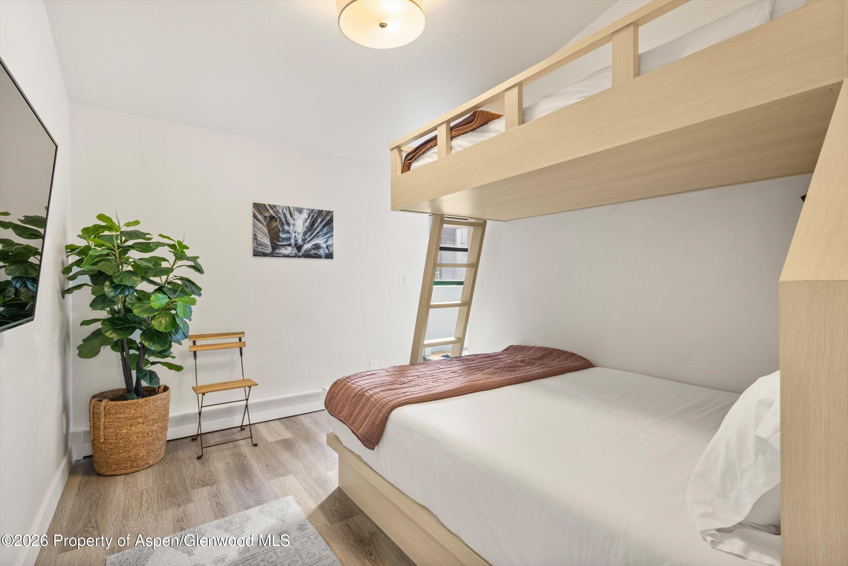 220 W Main Street 201, Aspen, CO 81611 - Photo 9