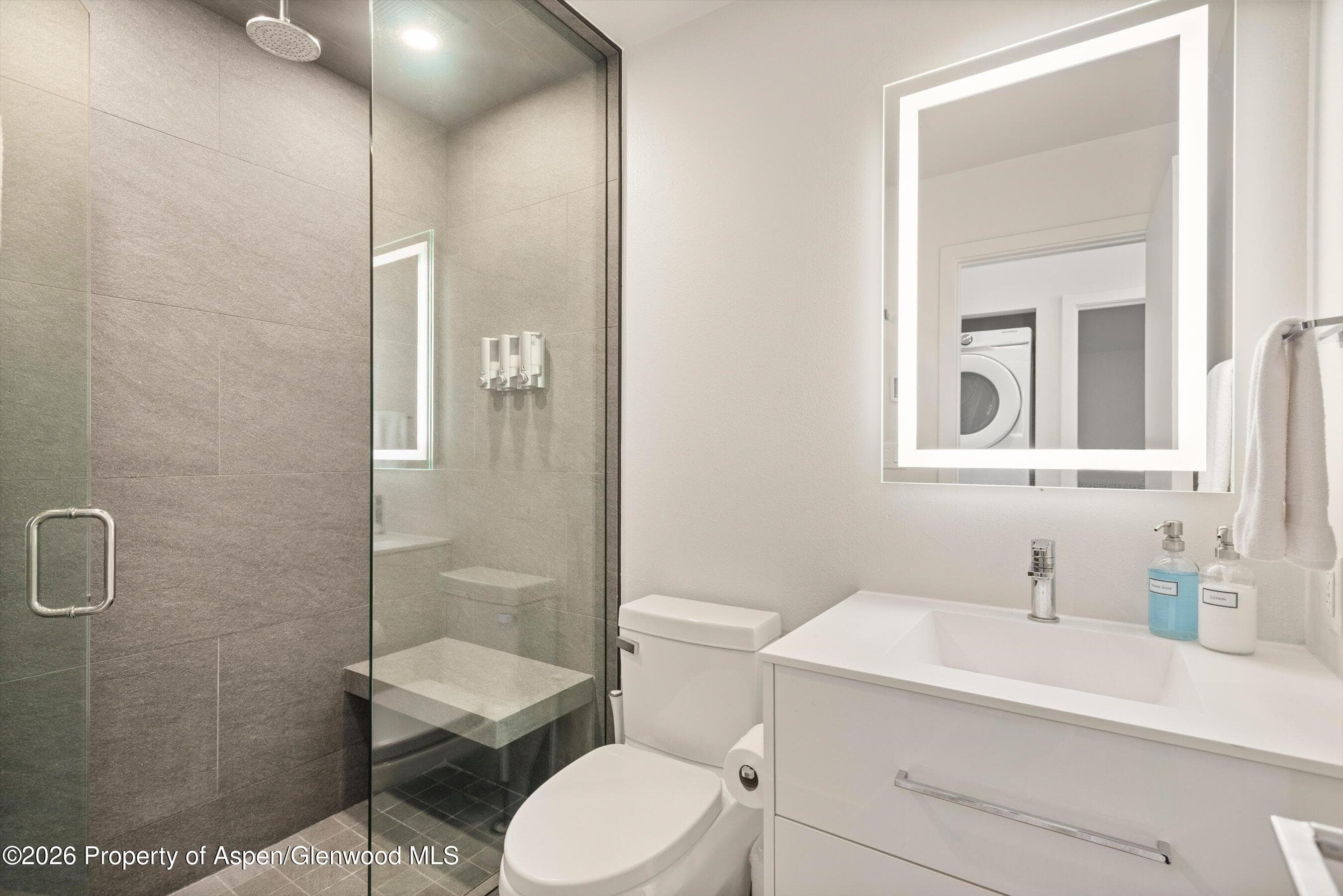 220 W Main Street 201, Aspen, CO 81611 - Photo 11