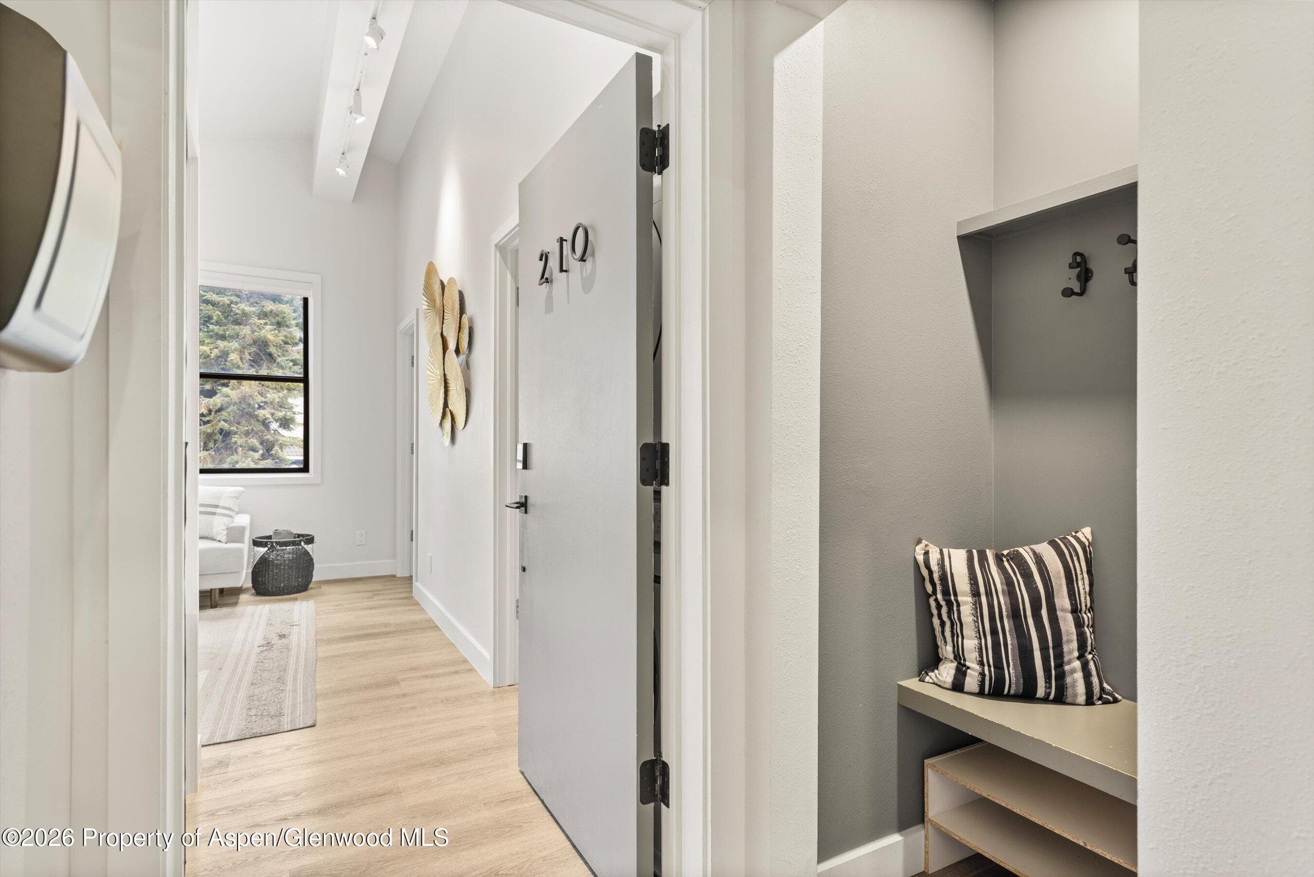 220 W Main Street 201, Aspen, CO 81611 - Photo 12