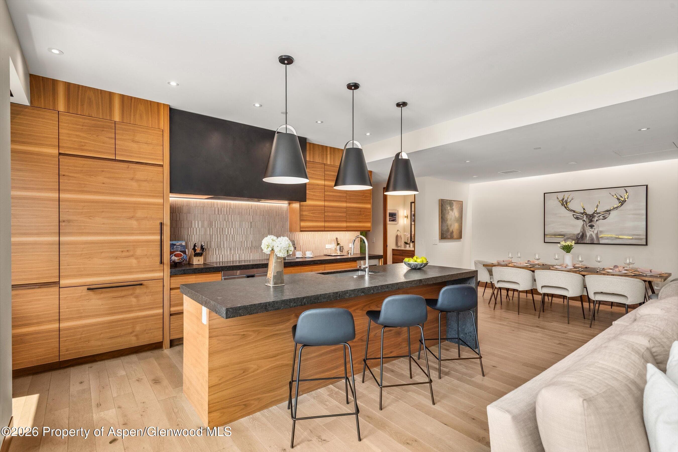 77 Wood Road 404 East, Snowmass Village, CO 81615 - Photo 8
