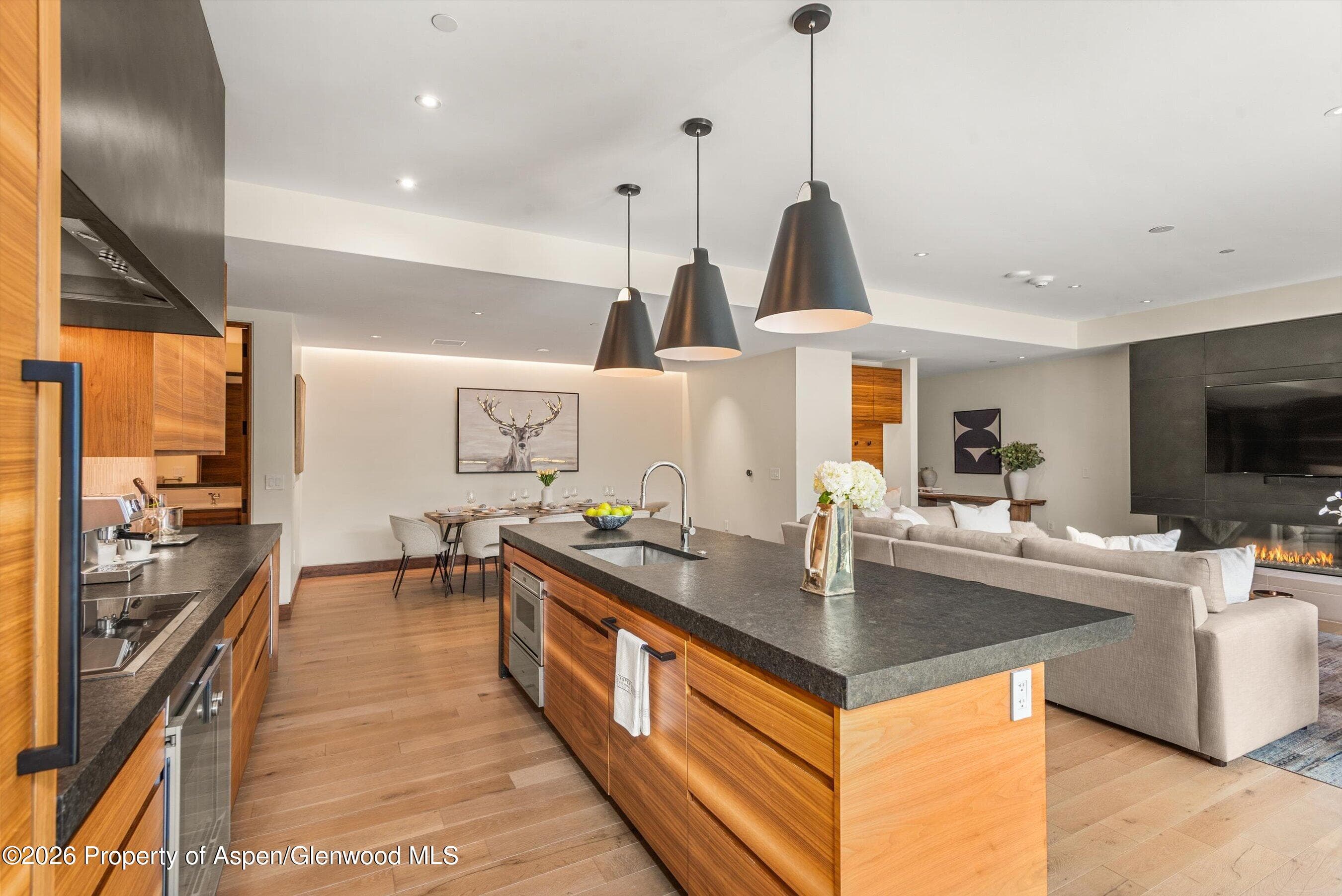 77 Wood Road 404 East, Snowmass Village, CO 81615 - Photo 10