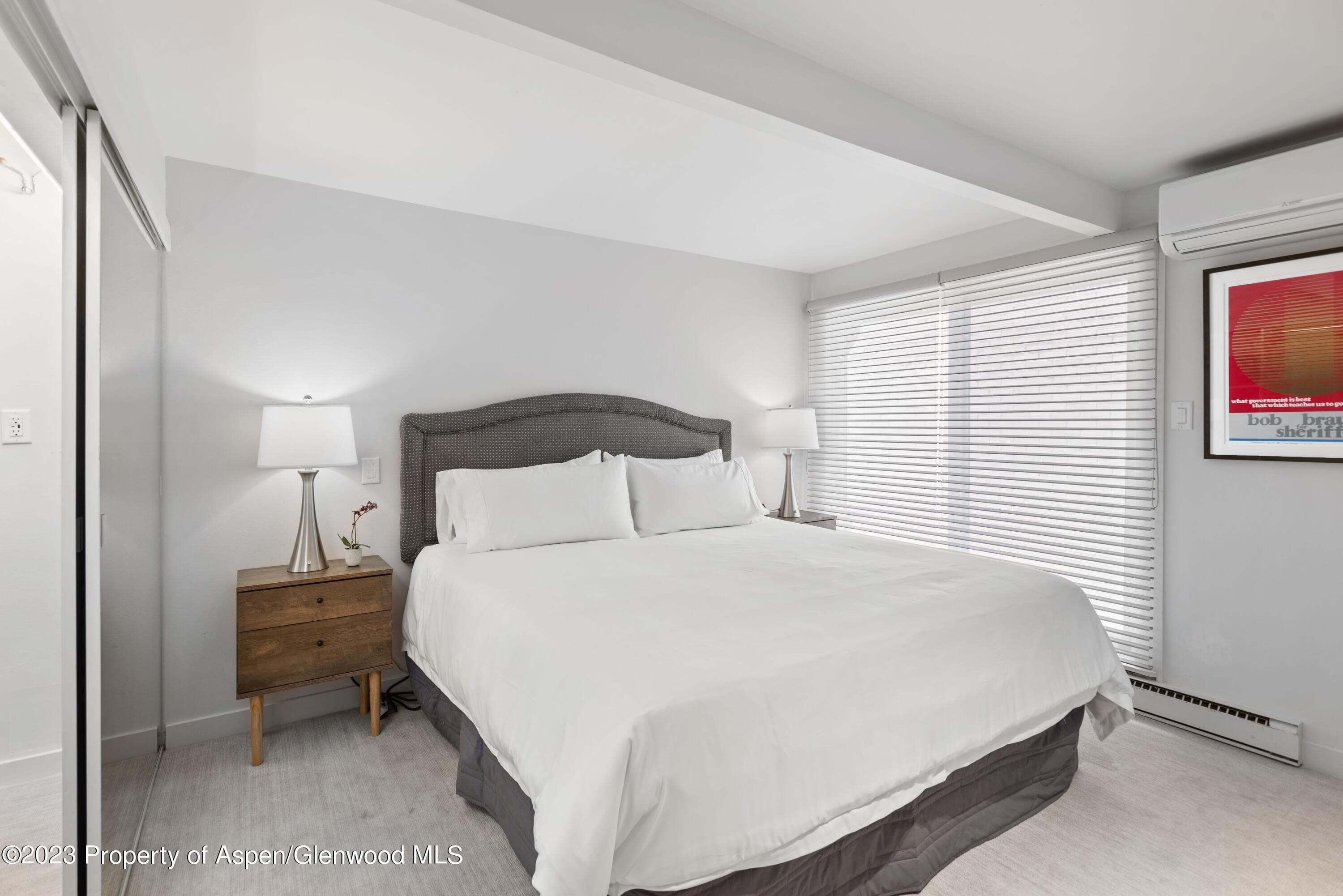 630 E Cooper Avenue 2, Aspen, CO 81611 - Photo 5