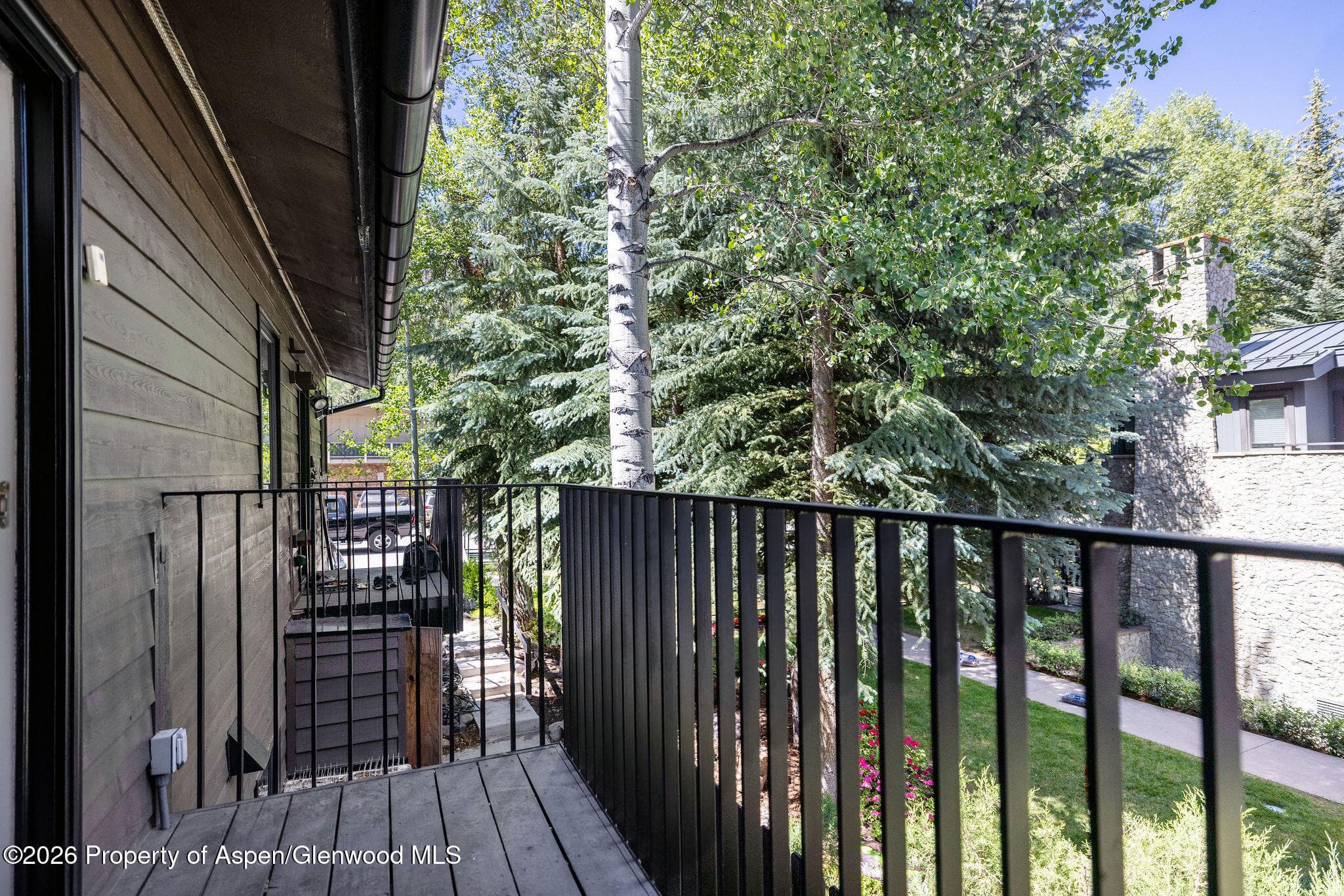 950 E Durant Avenue 4, Aspen, CO 81611 - Photo 22
