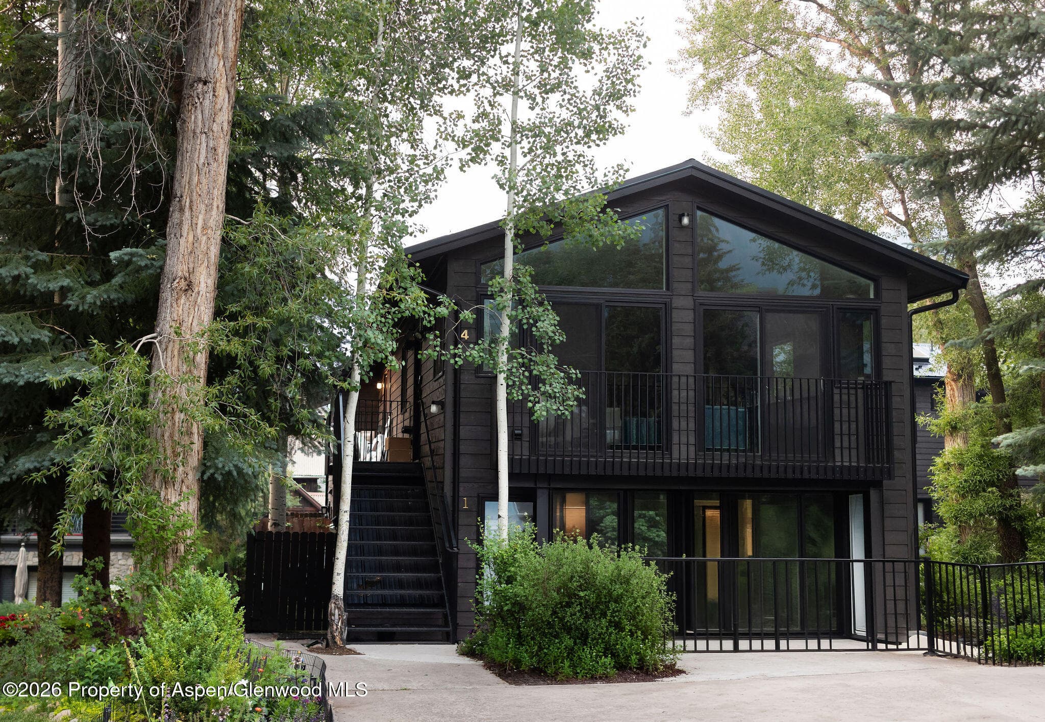 950 E Durant Avenue 4, Aspen, CO 81611