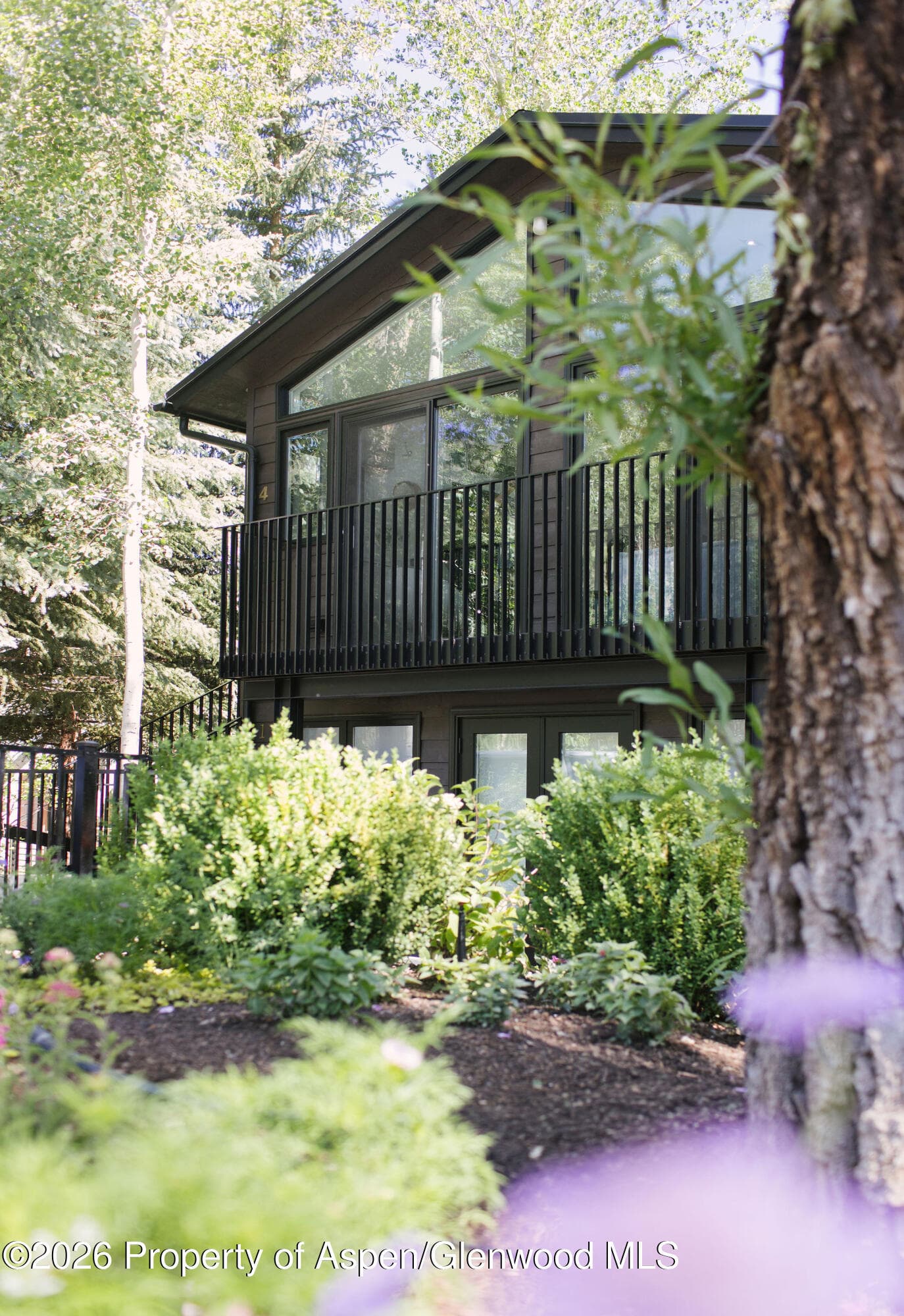 950 E Durant Avenue 4, Aspen, CO 81611 - Photo 4