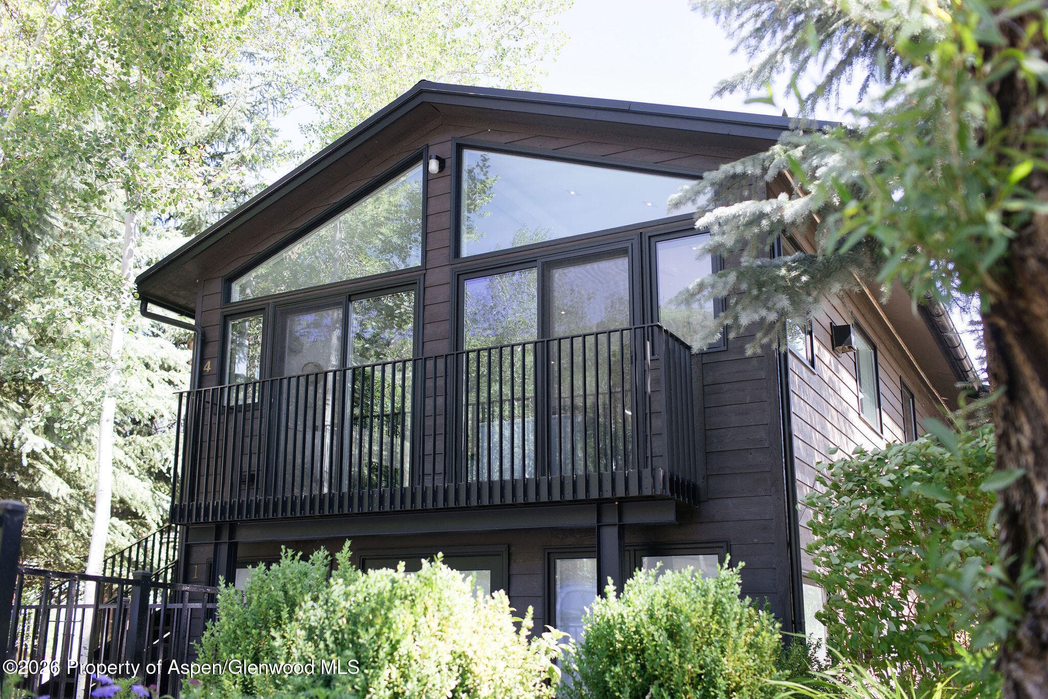 950 E Durant Avenue 4, Aspen, CO 81611 - Photo 3