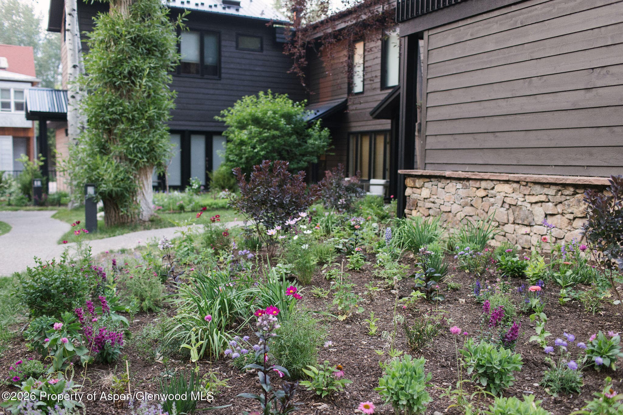 950 E Durant Avenue 4, Aspen, CO 81611 - Photo 30