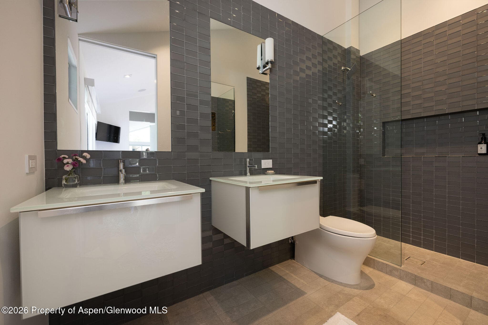 950 E Durant Avenue 4, Aspen, CO 81611 - Photo 21