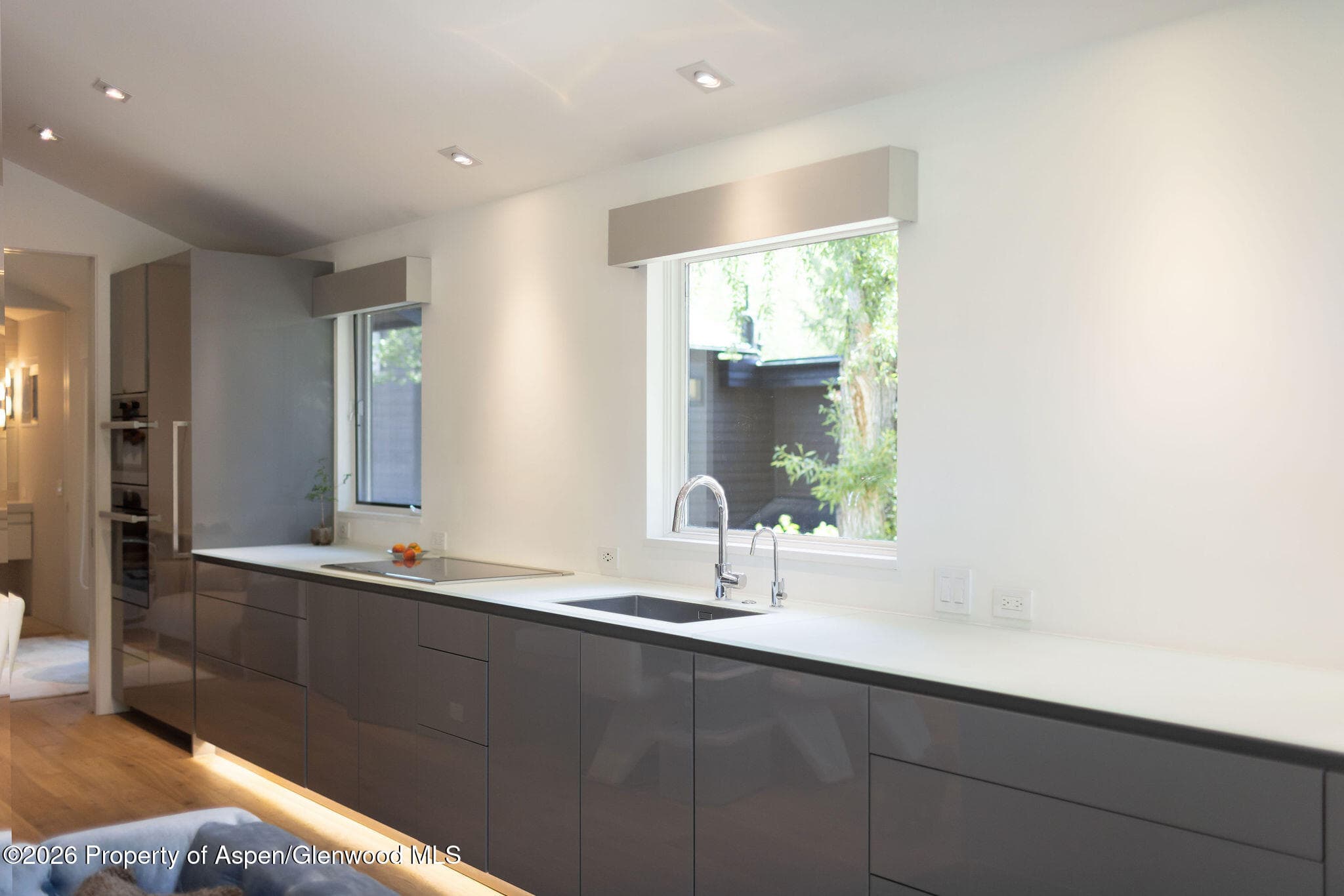 950 E Durant Avenue 4, Aspen, CO 81611 - Photo 14