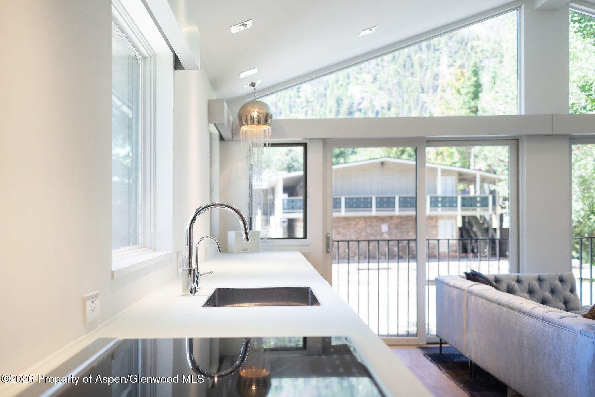 950 E Durant Avenue 4, Aspen, CO 81611 - Photo 10